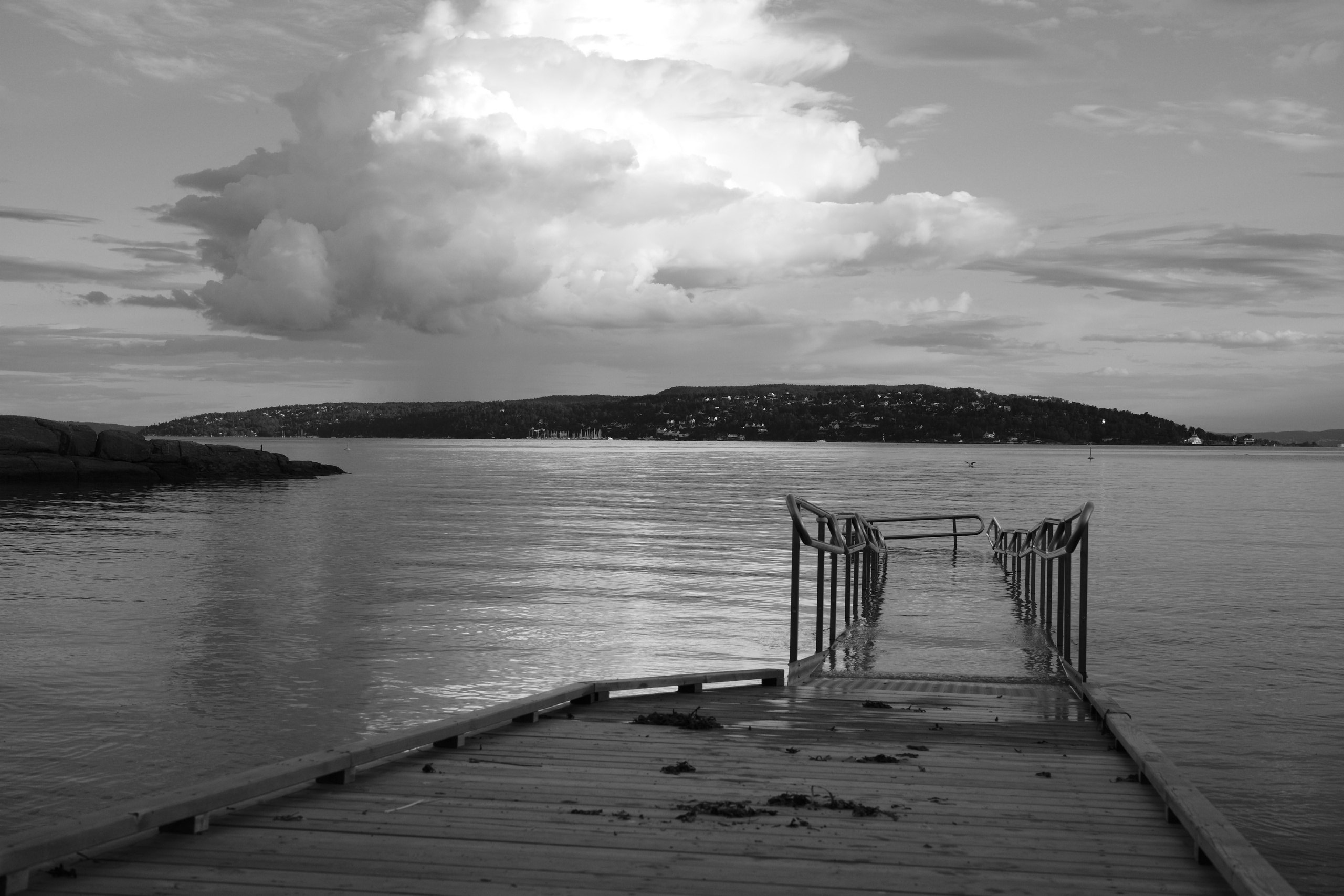 Natur. Foto som Kunst. Anastasia Majestic Kunstkaper, Make-up Artist, Stylist