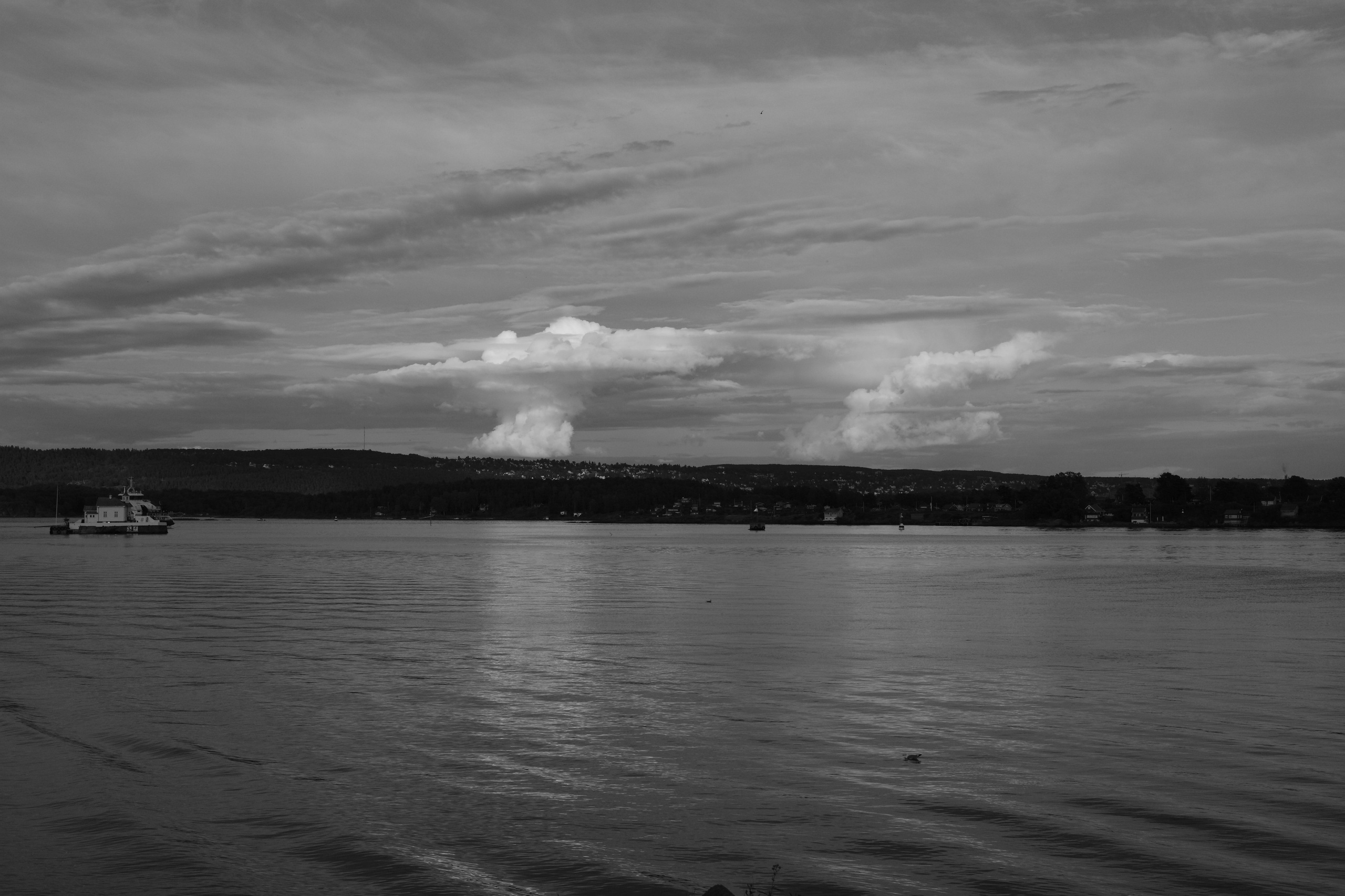 Natur. Foto som Kunst. Anastasia Majestic Kunstkaper, Make-up Artist, Stylist