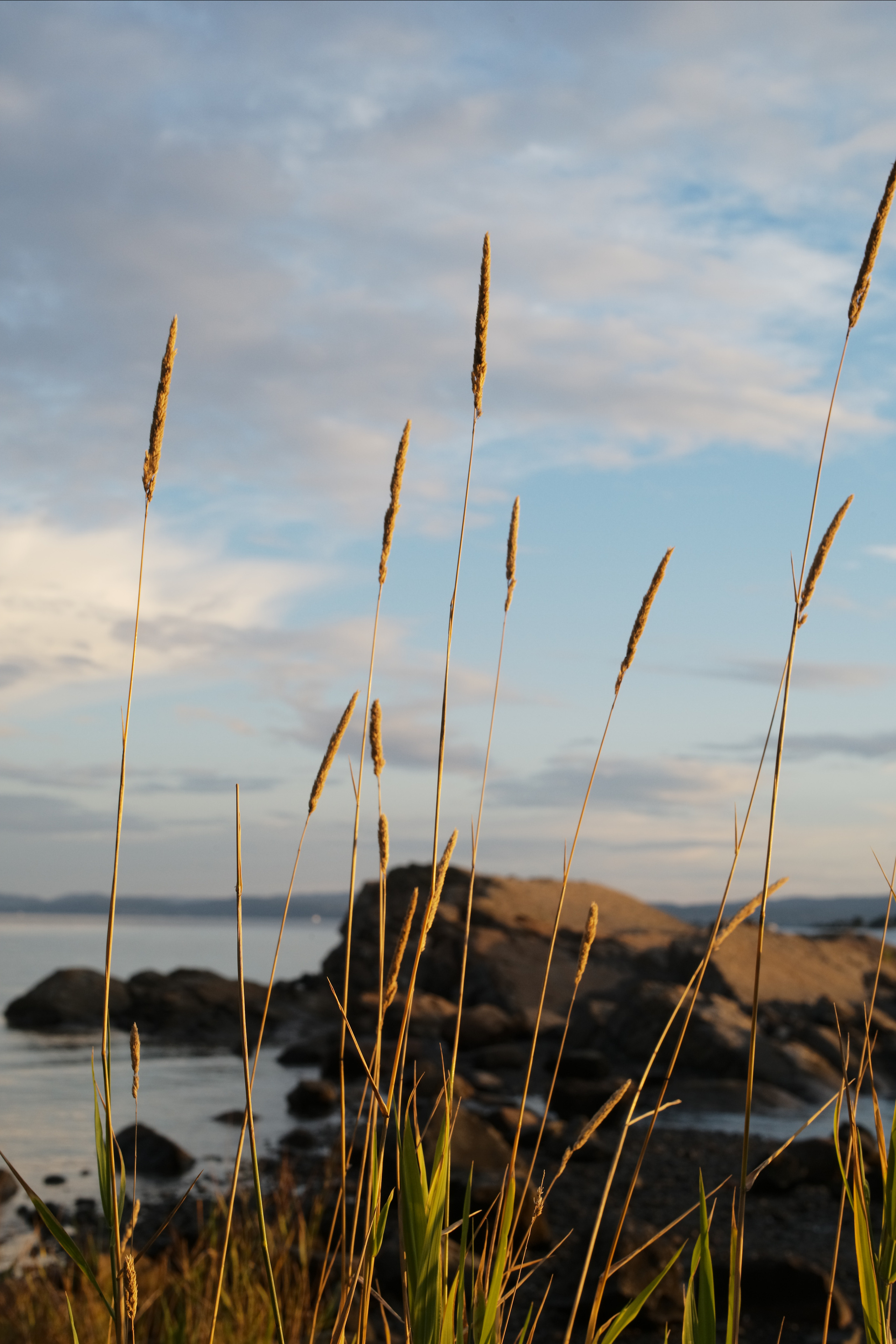 Natur. Foto som Kunst. Anastasia Majestic Kunstkaper, Make-up Artist, Stylist