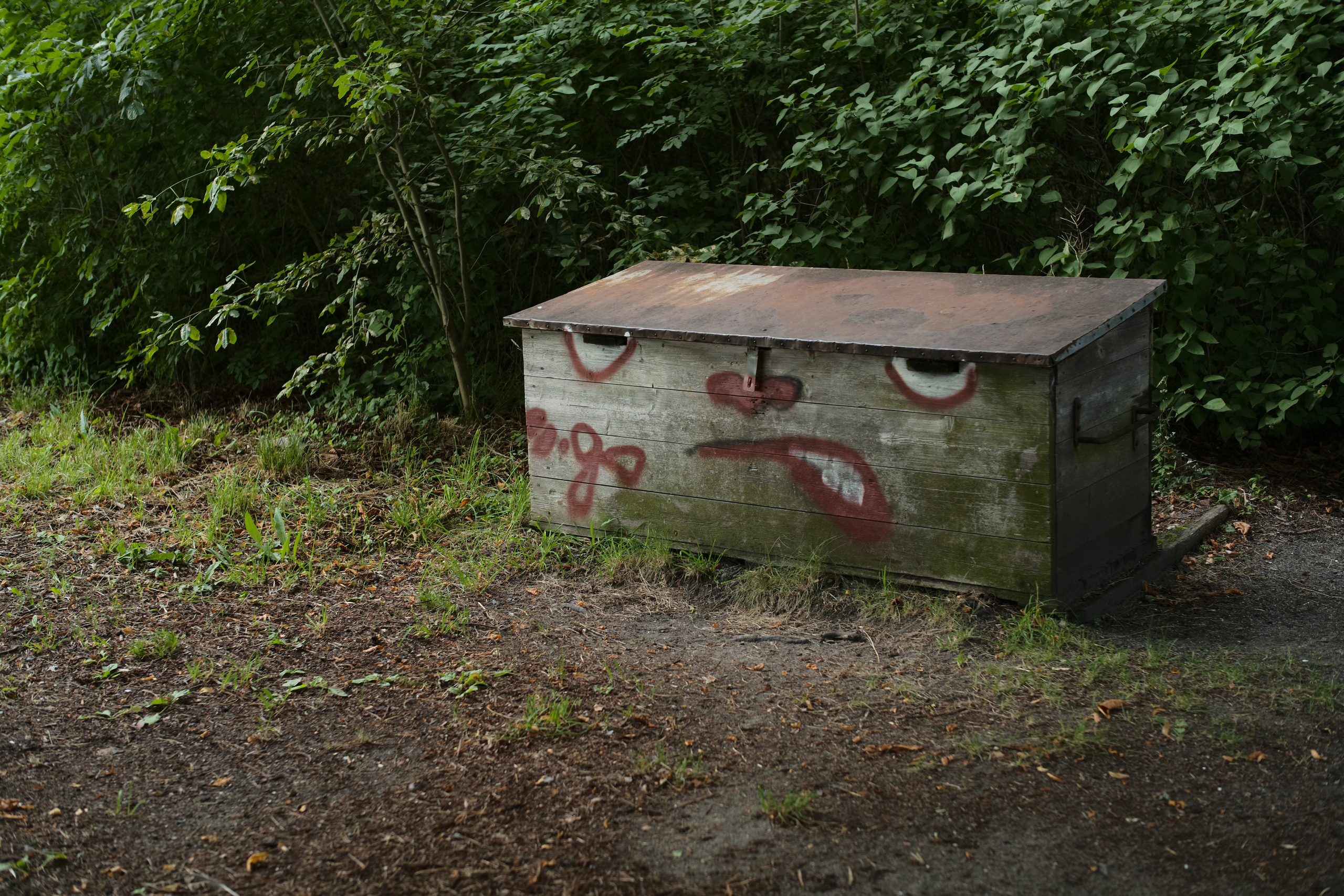 Natur. Foto som Kunst. Anastasia Majestic Kunstkaper, Make-up Artist, Stylist