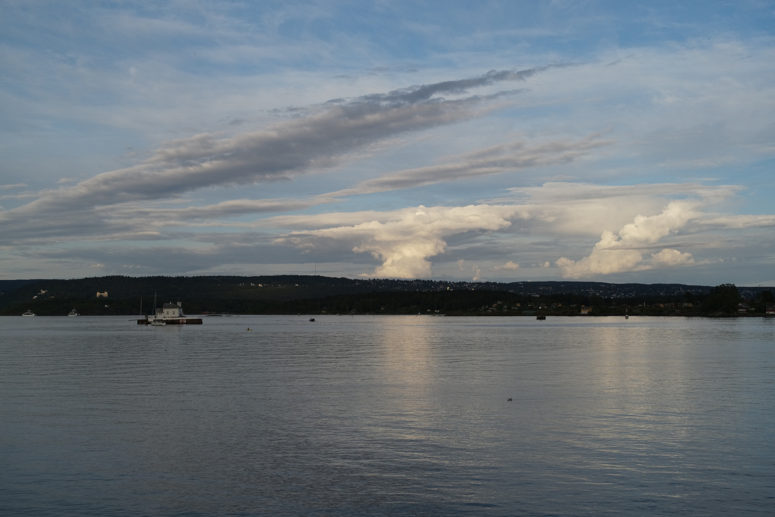 Natur. Foto som Kunst. Anastasia Majestic Kunstkaper, Make-up Artist, Stylist