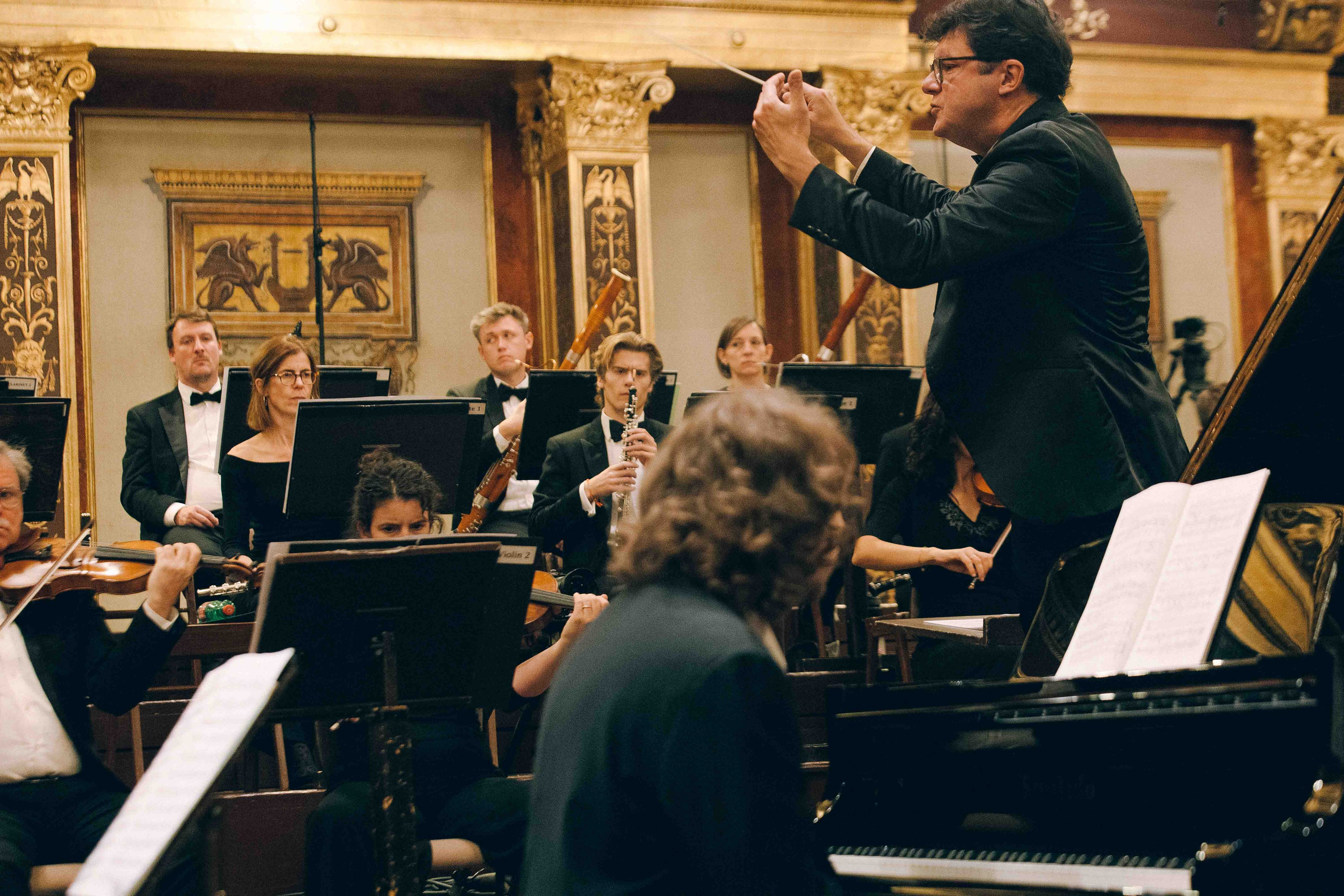 MUSIKVEREIN (VIENNA). Wedding&Event photographer Ismail Rzayev in Baku