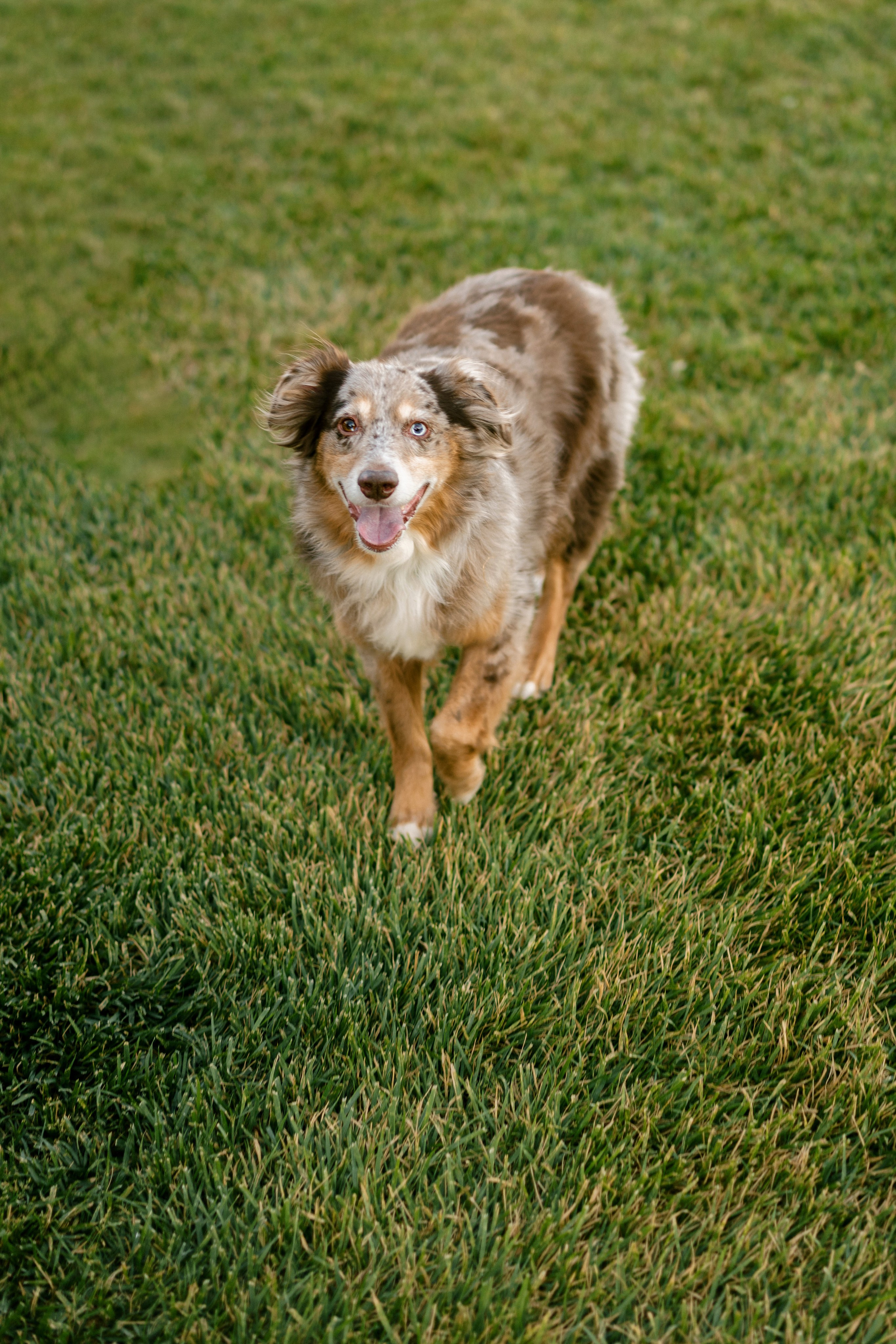 Celina & Chad Wedding. Napa Valley, California. Wedding Photography & Videography Team in California, Los Angeles, San Francisco, San Diego and Travel