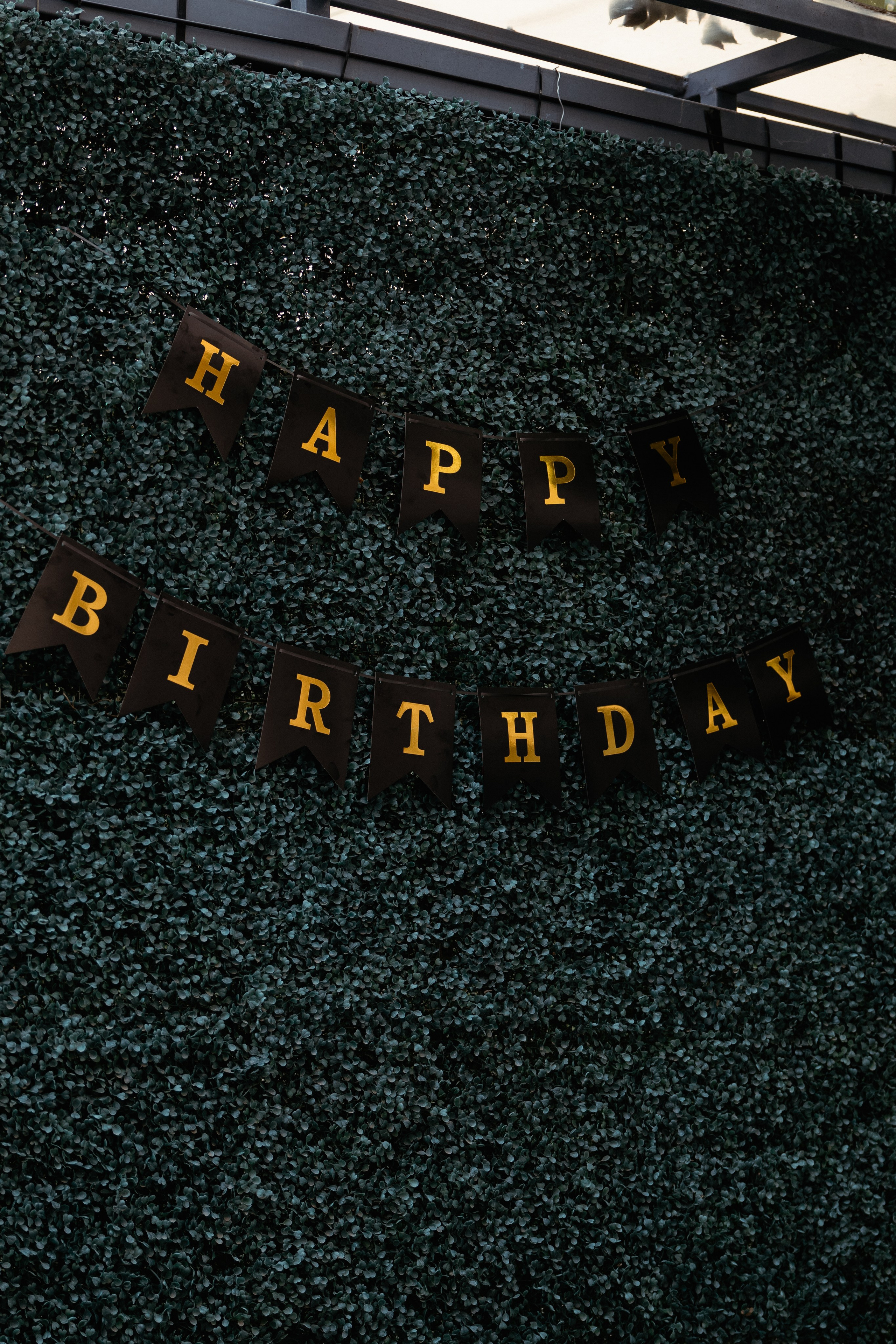 Alex Birthday Party. Дизайнер и Фотограф в Кишинёве Бусуйок Станислав