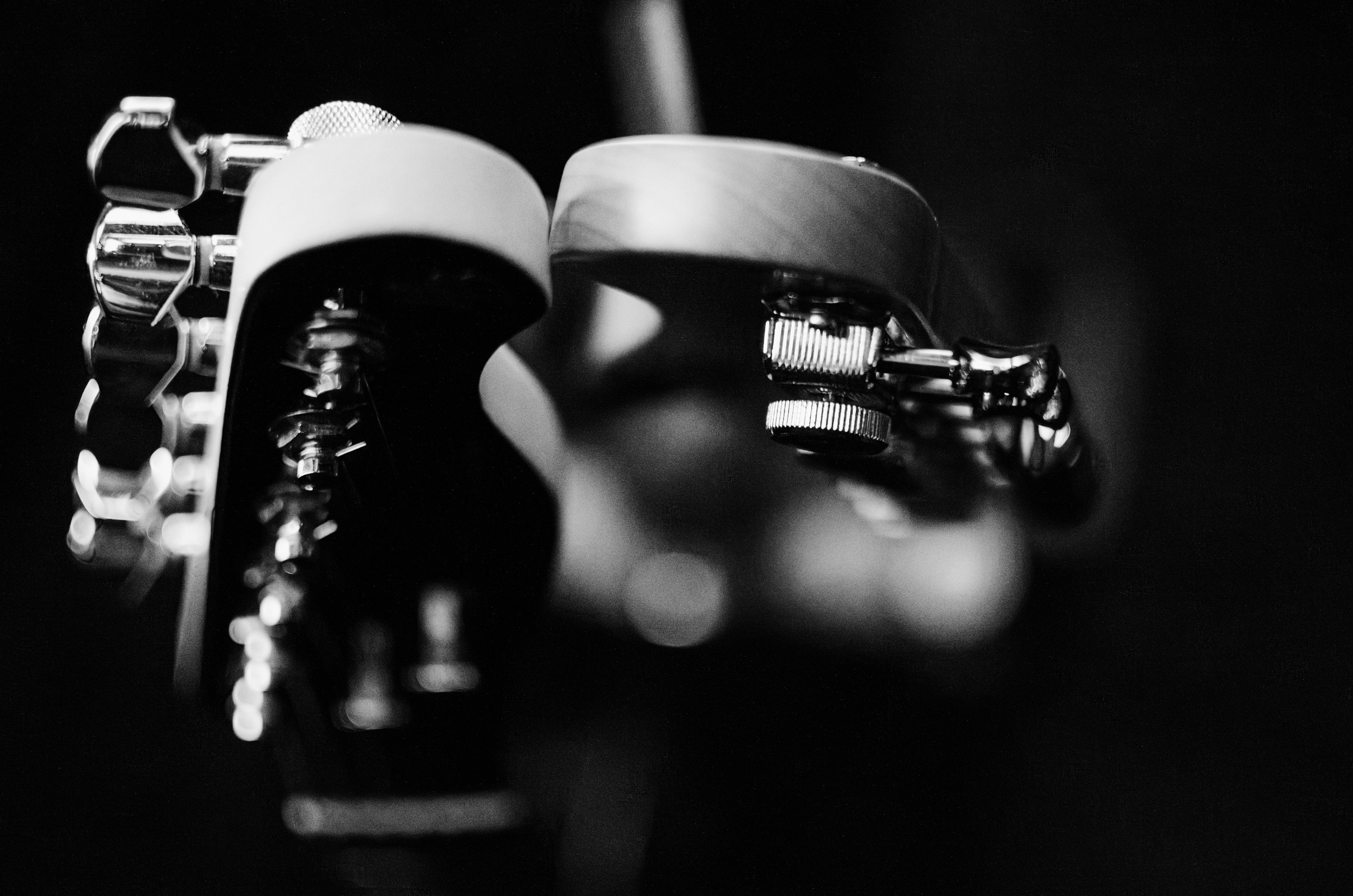 More & relsy 12.02.25. Event photographer Alena Iurchenko