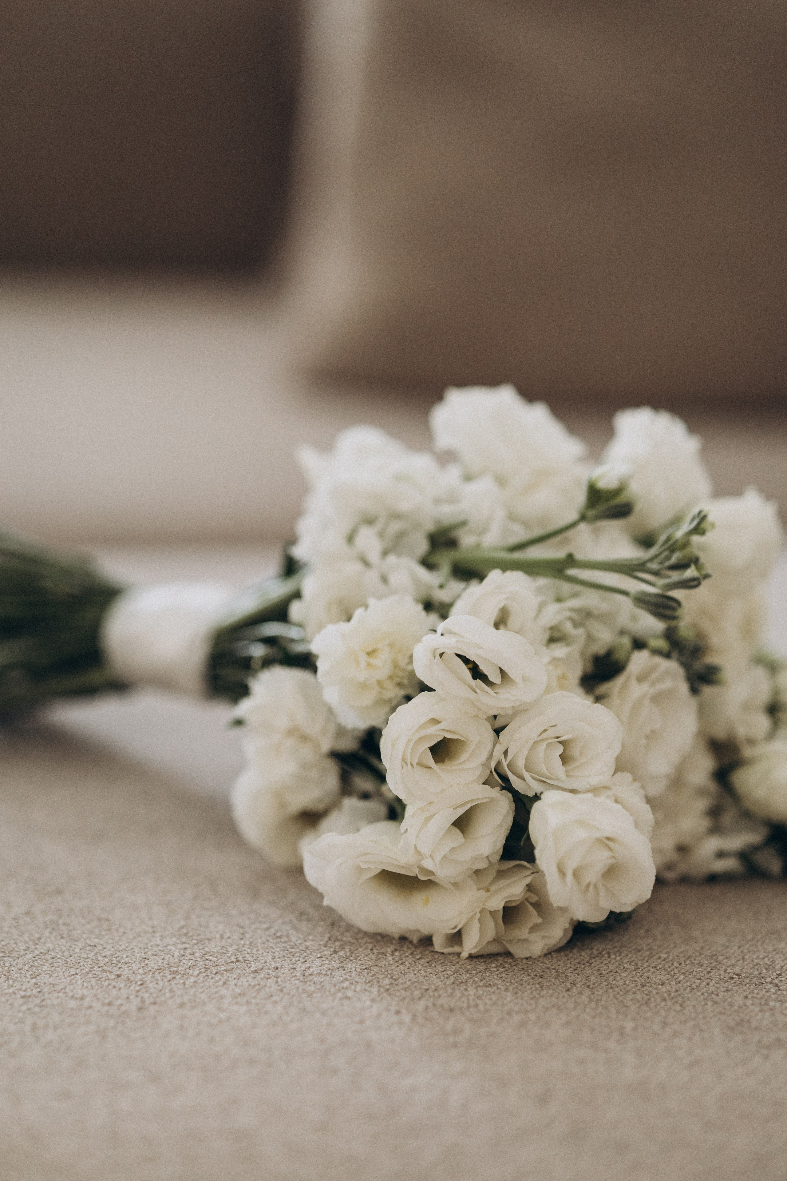 Владимир и Вера. PRIME STUDIO