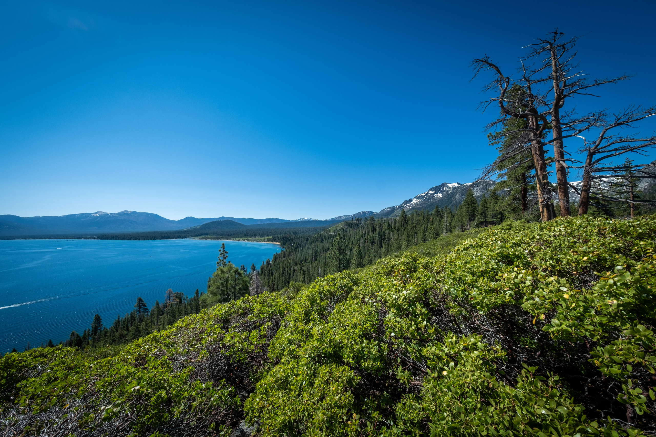 TAHOE. Reportage concert portrait photography in the San Francisco Bay Area