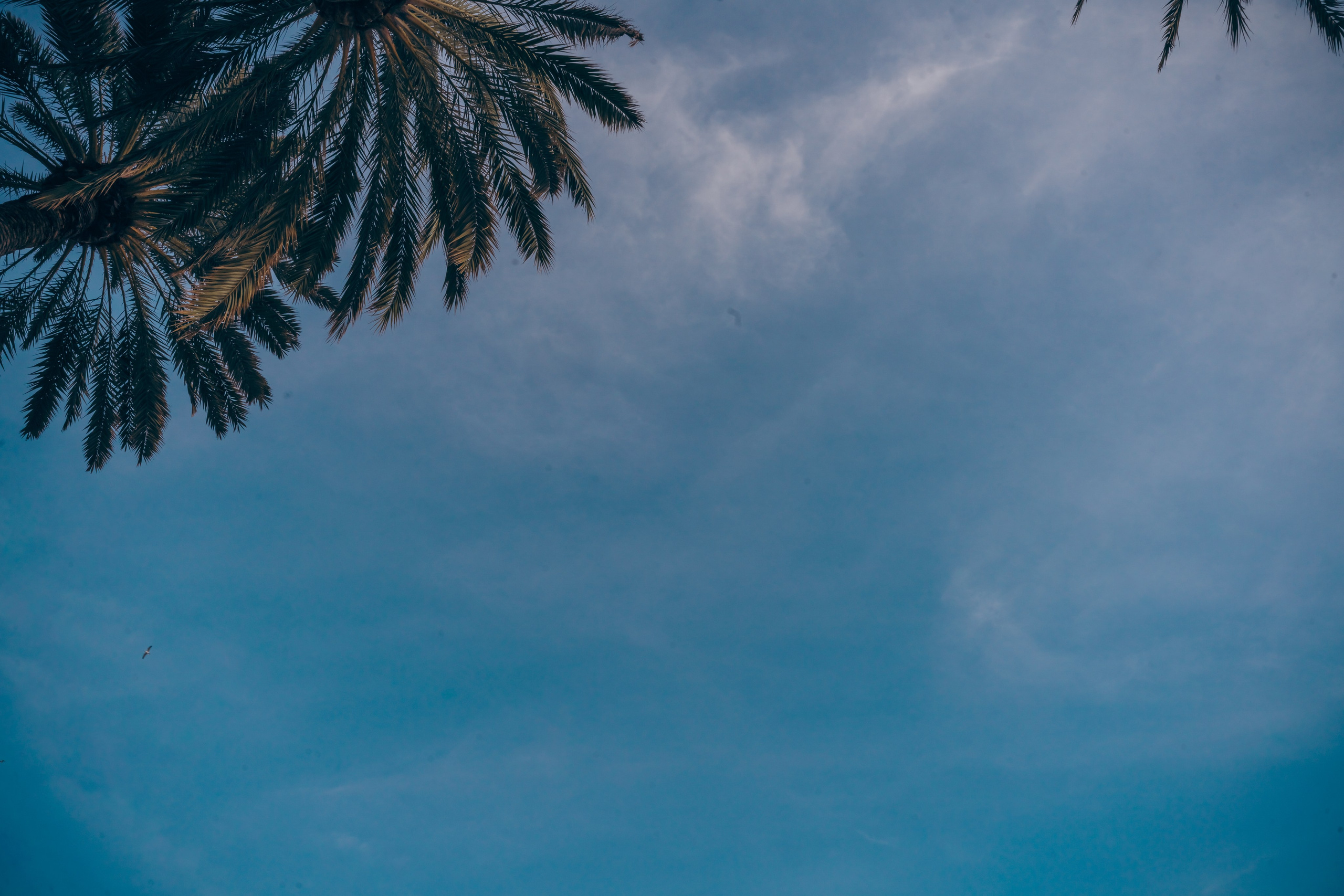 Helen. Photographer in Mallorca