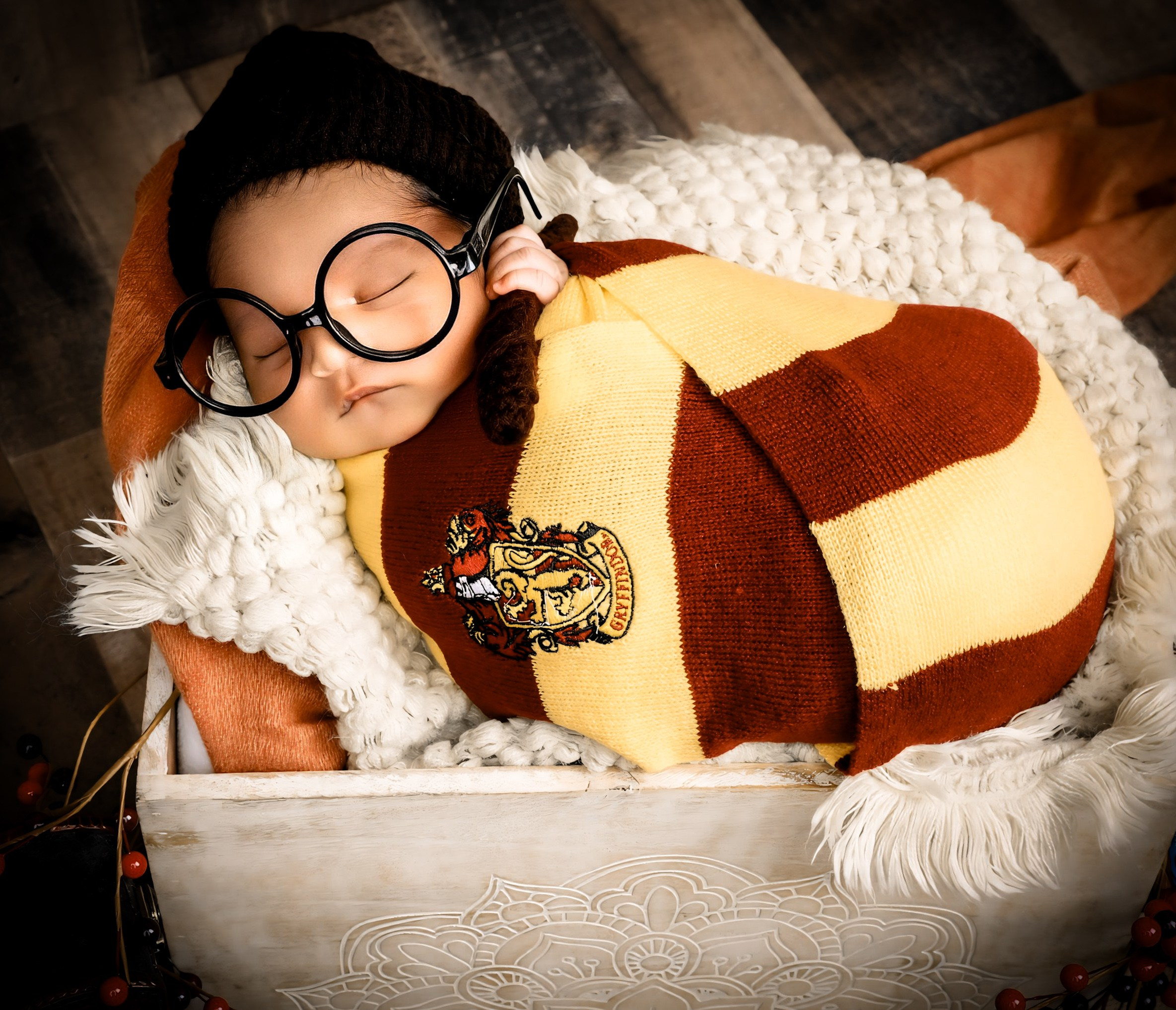 Harry Potter. AP Lens Photography | Newborn, Maternity, Milestone & Family Photographer Little Elm TX