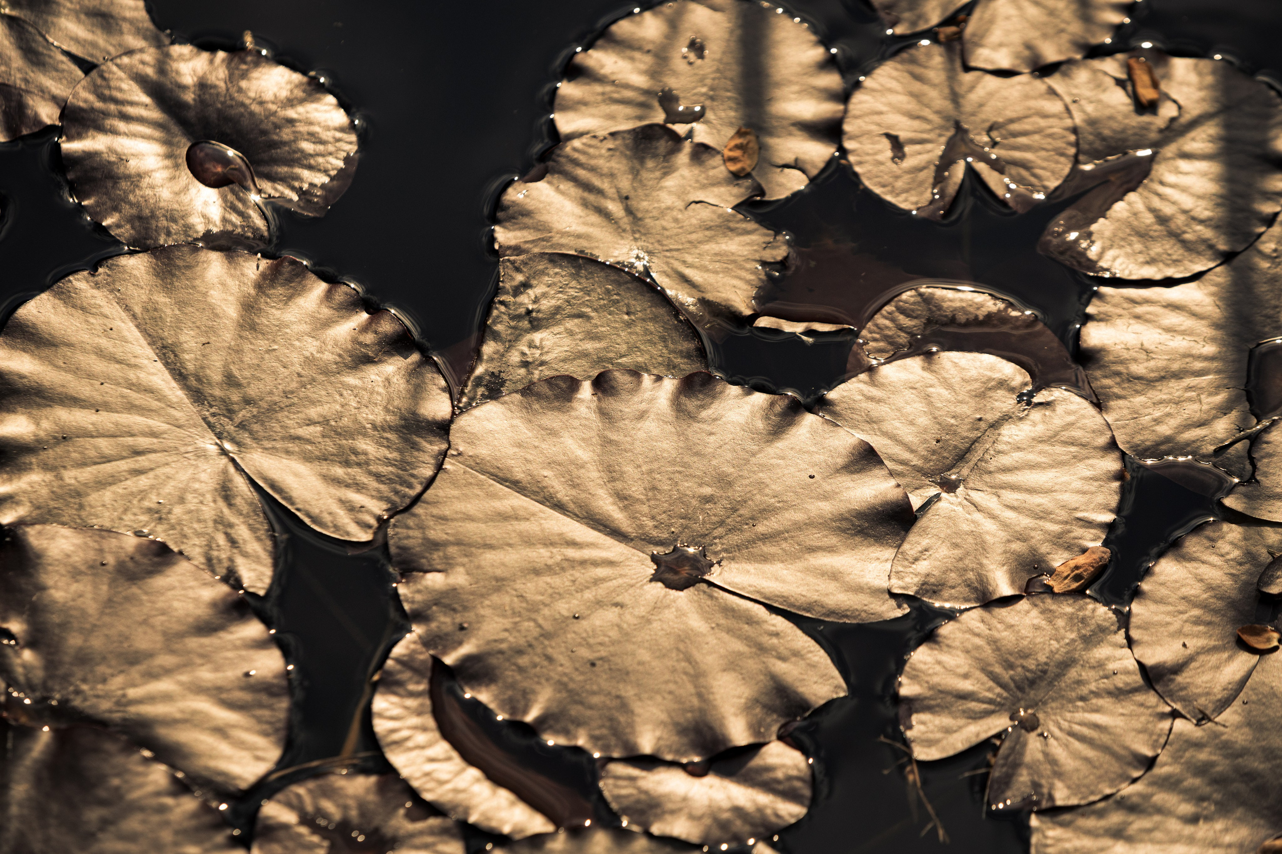 Portret bebeluș la botez realizat de Mitroi Iulian