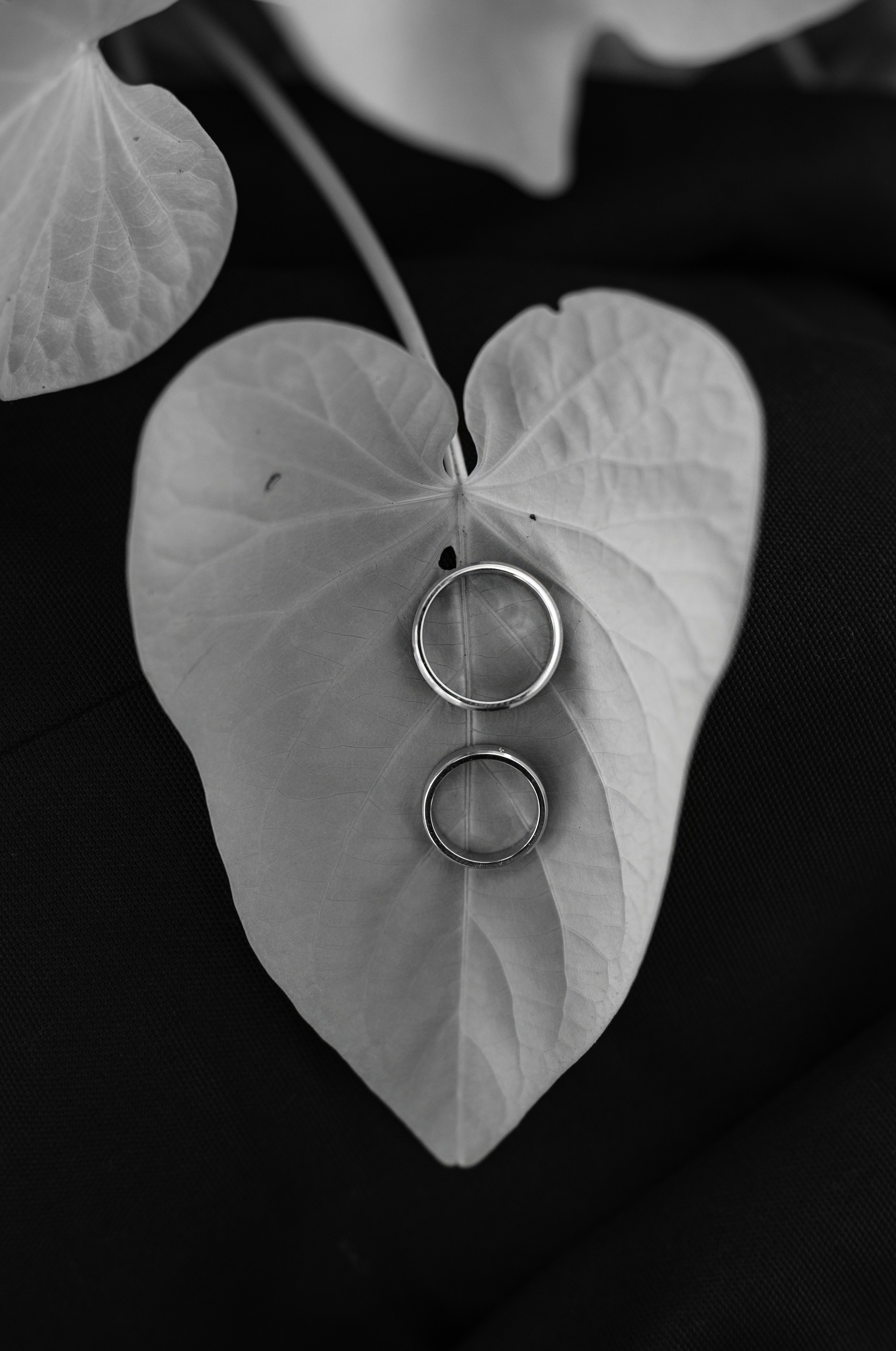 N&A. Krakow. 19.09.2025. Fotograf ślubny i rodzinny w Krakowie Yana Klymova