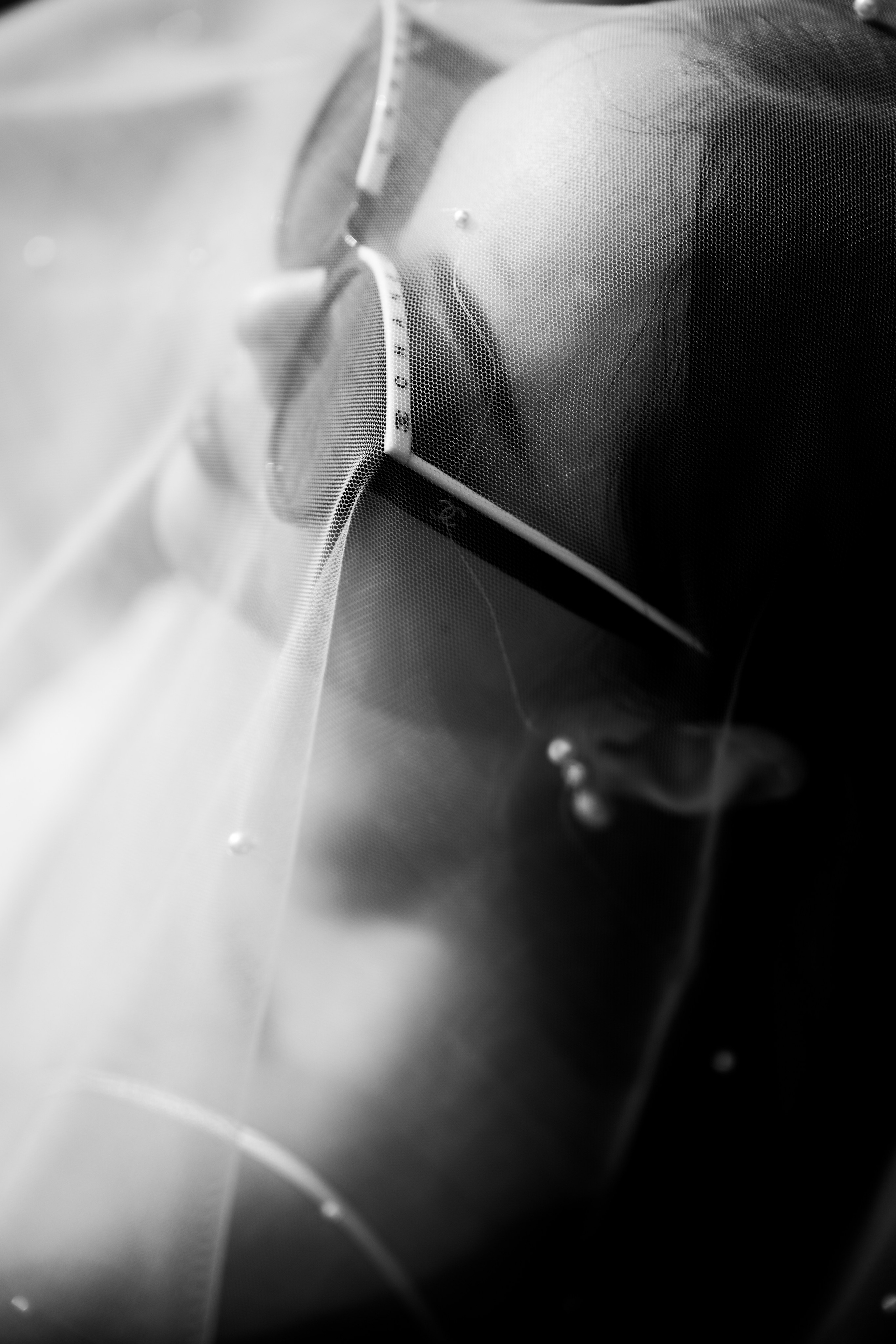 Chris + Thuy Duong. BenColor Studio