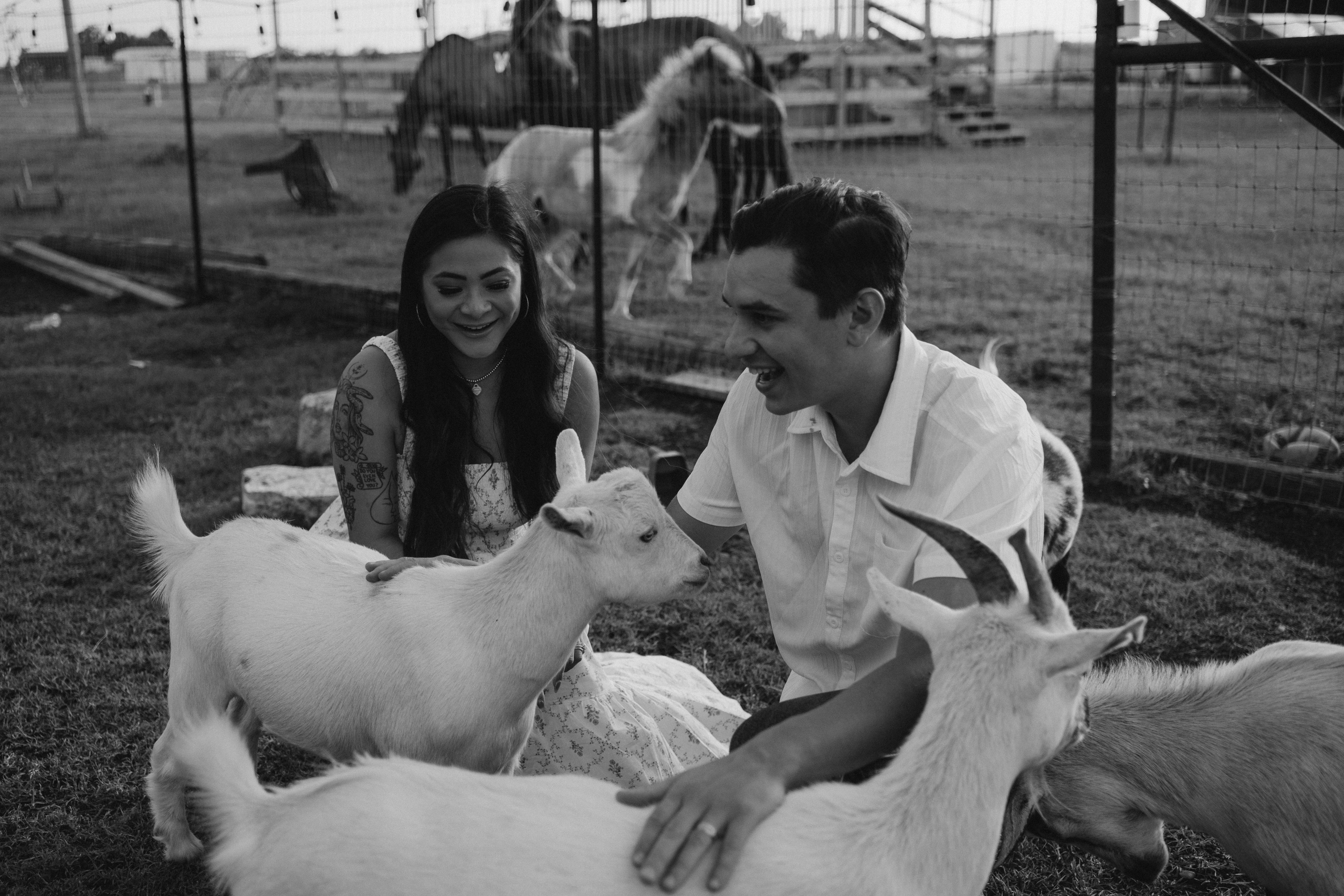 Summer Moments. Lens Captures Life