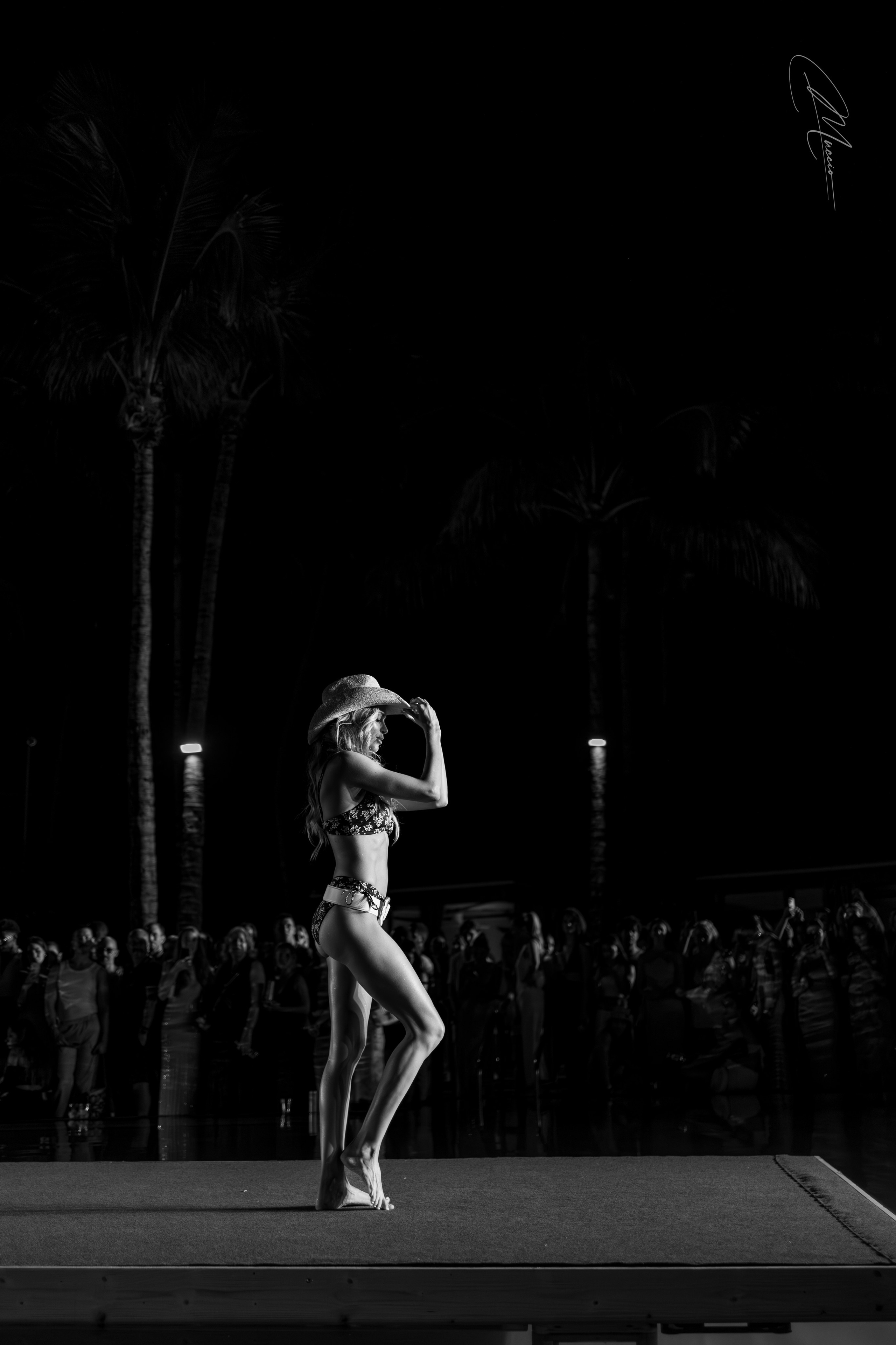 Black and White. Out and About 239