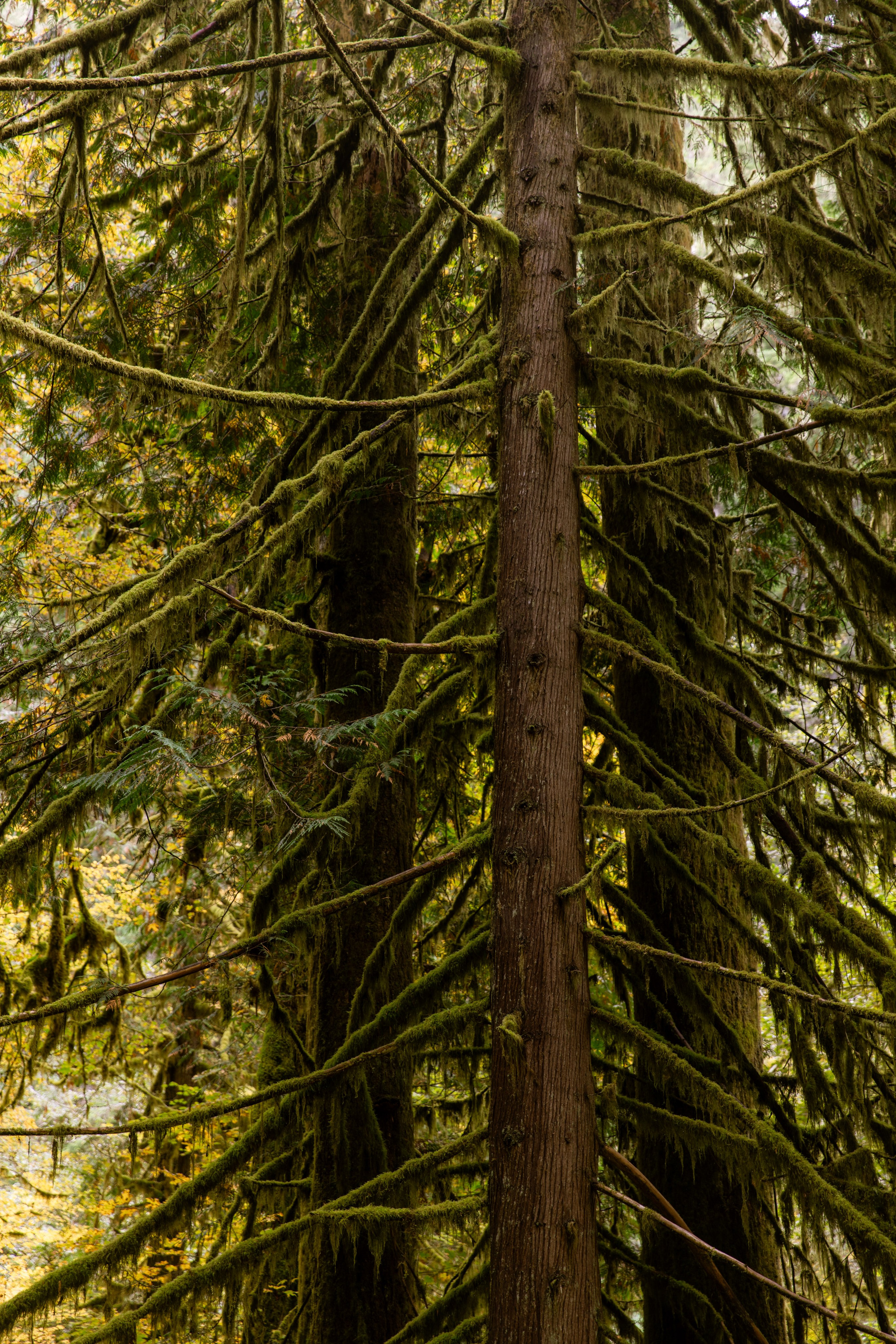 Twilight | Wallpapers. Photographer in Los Angeles. Julia Ishmuratova