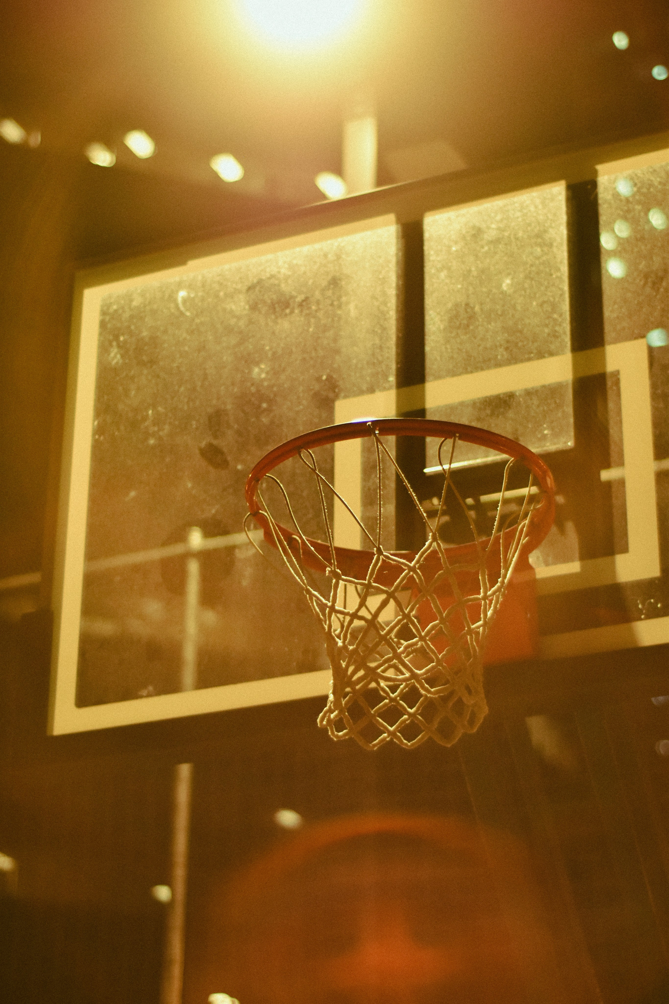 Gallery. Karine Photographer|Videographer