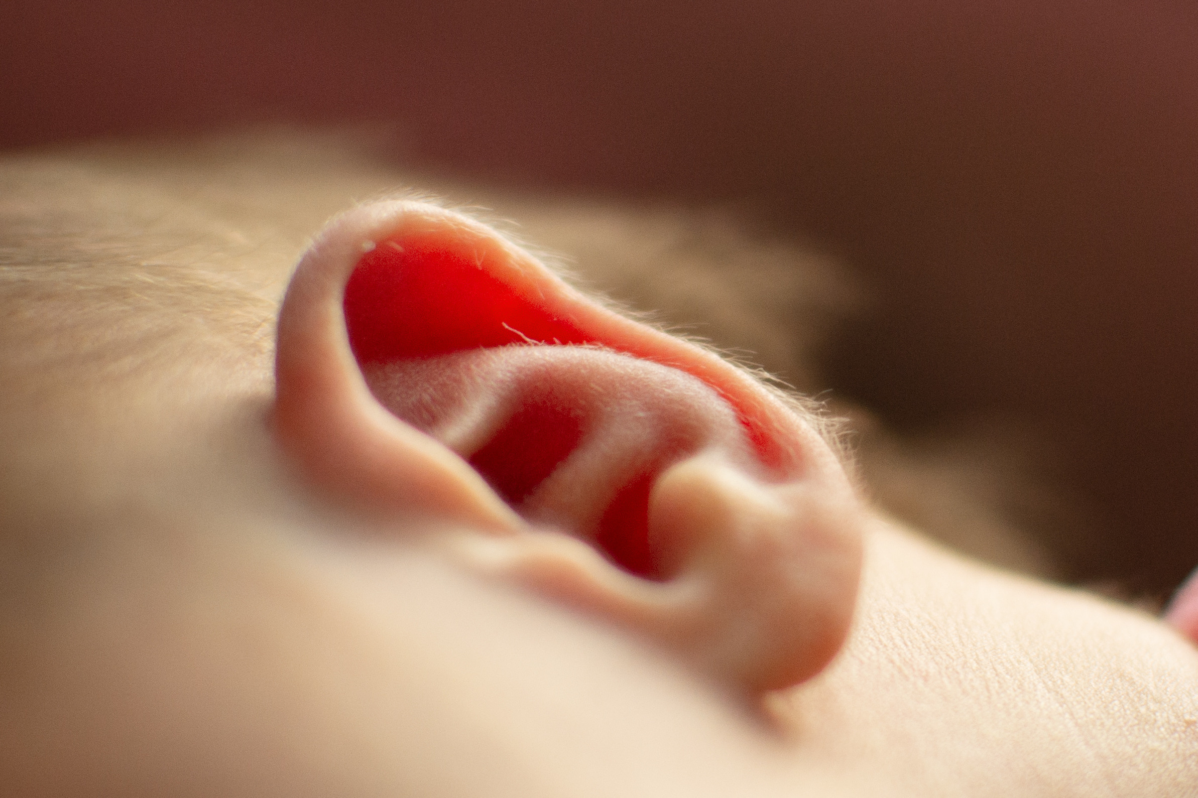 Варвара. Фотограф новорожденных в Темиртау и Караганде Любовь Жукова newborn