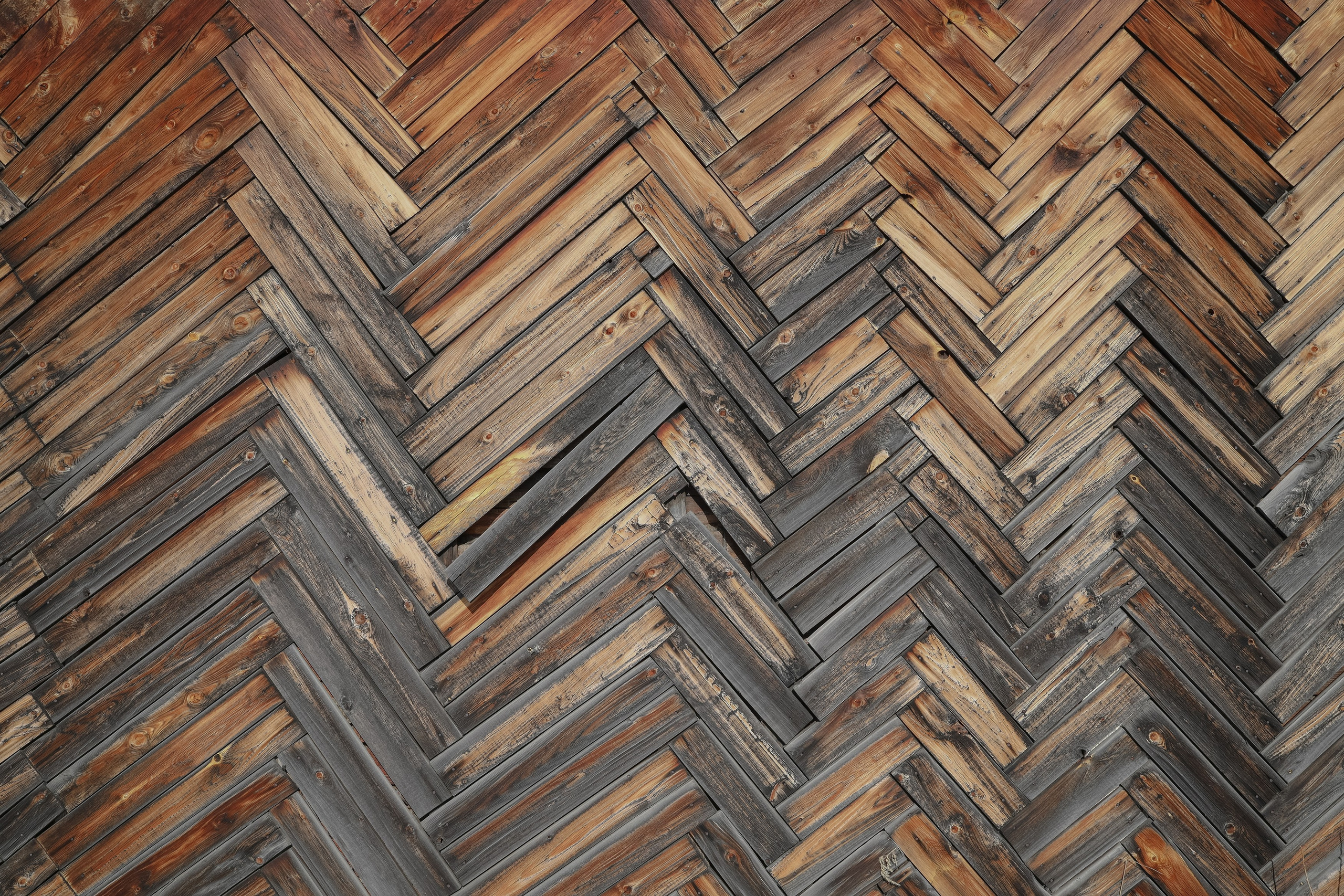 Приговоренные. Sasha Ivanov — Documentary photographer