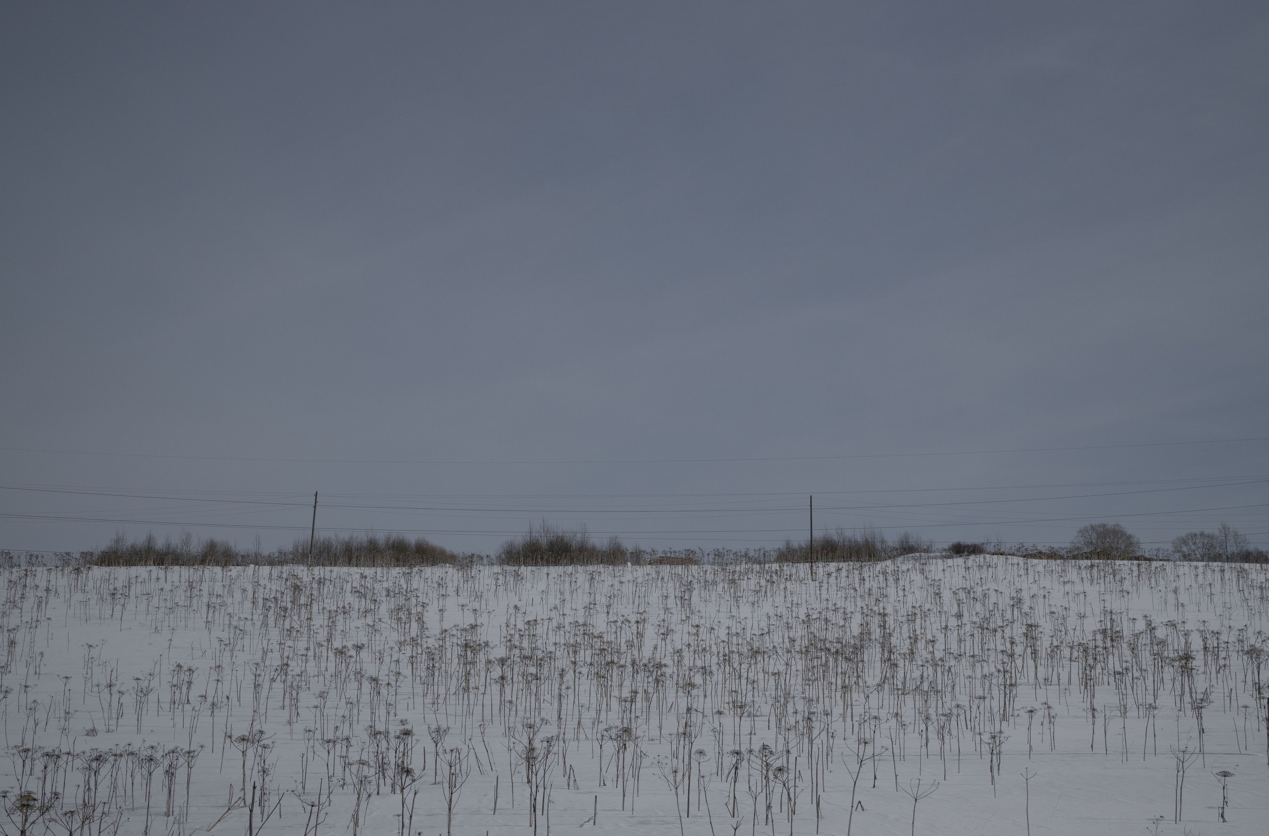 Приговоренные. Sasha Ivanov — Documentary photographer