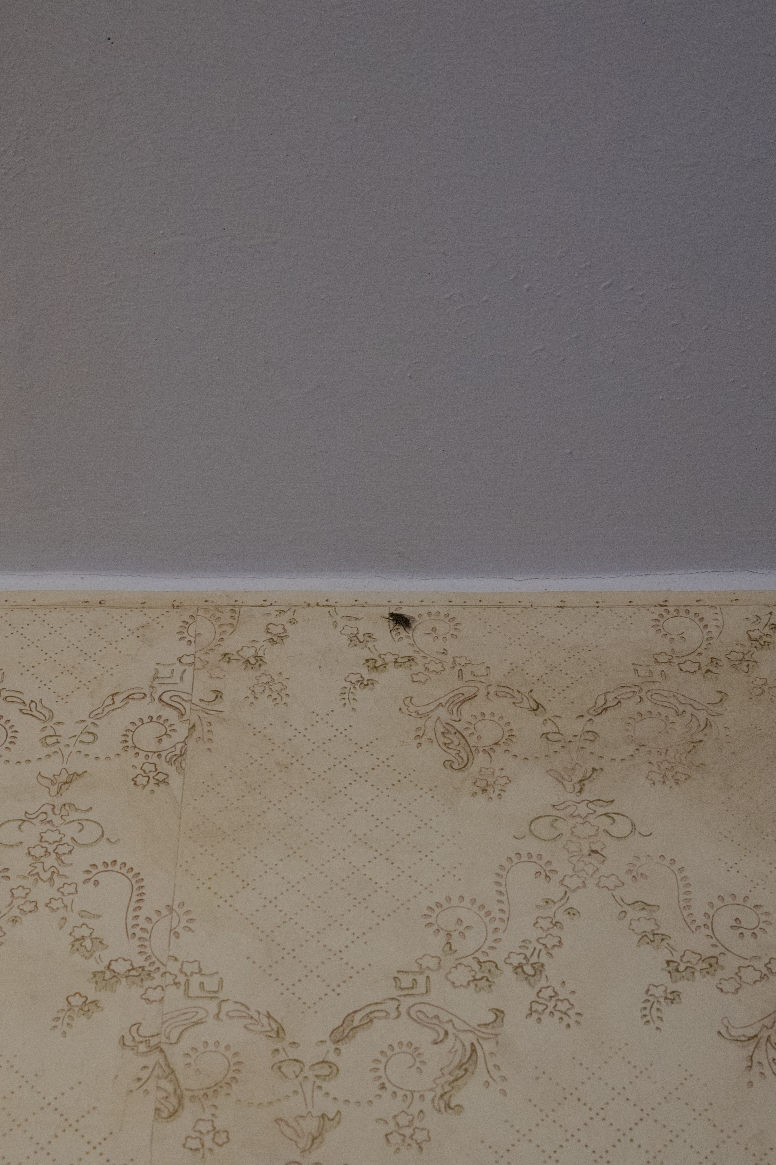 Лидочка. Sasha Ivanov — Documentary photographer