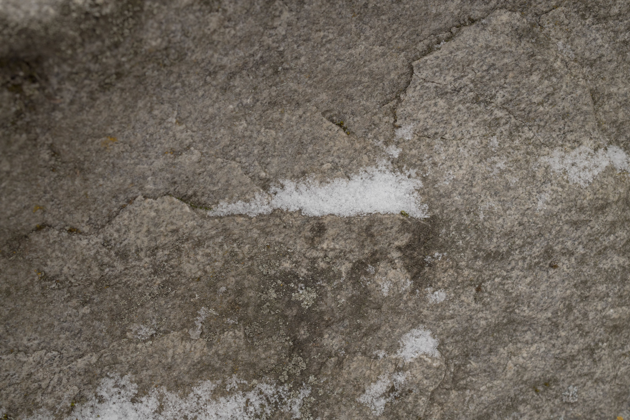 Приговоренные. Sasha Ivanov — Documentary photographer