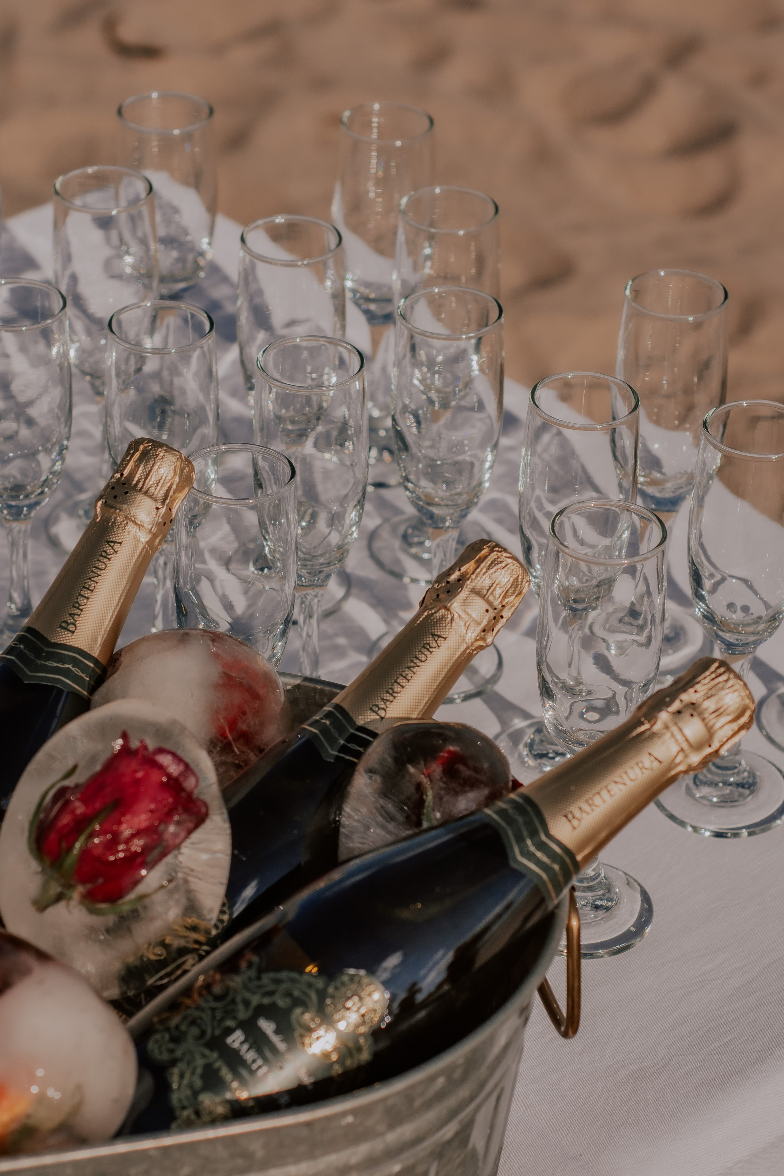 Wedding photography in Miami. Professional portrait photographer in Los Angeles | Axenia Haritonova