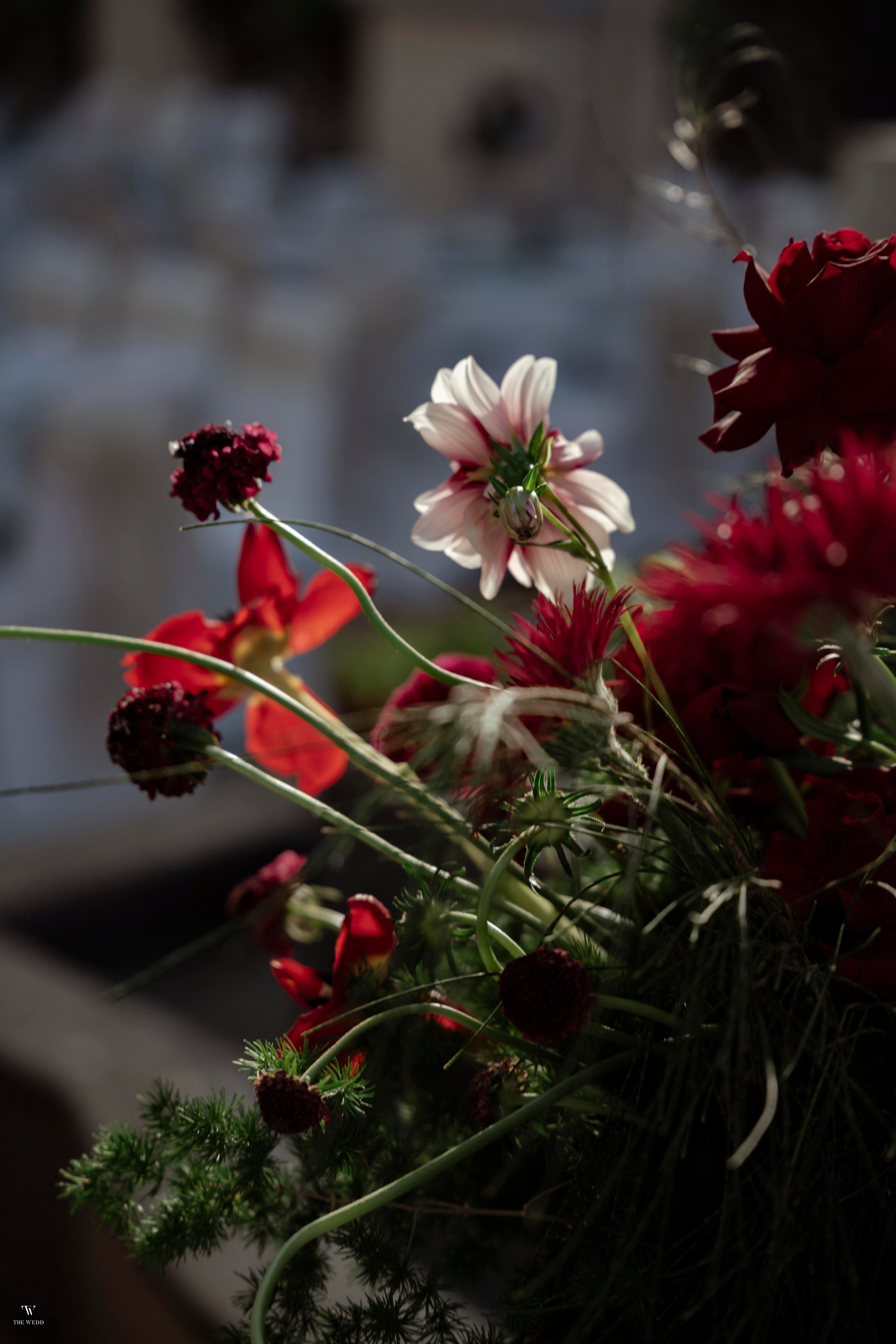 NGHIA & NGOC. WEDDING PHOTOGRAPHER IN VIETNAM