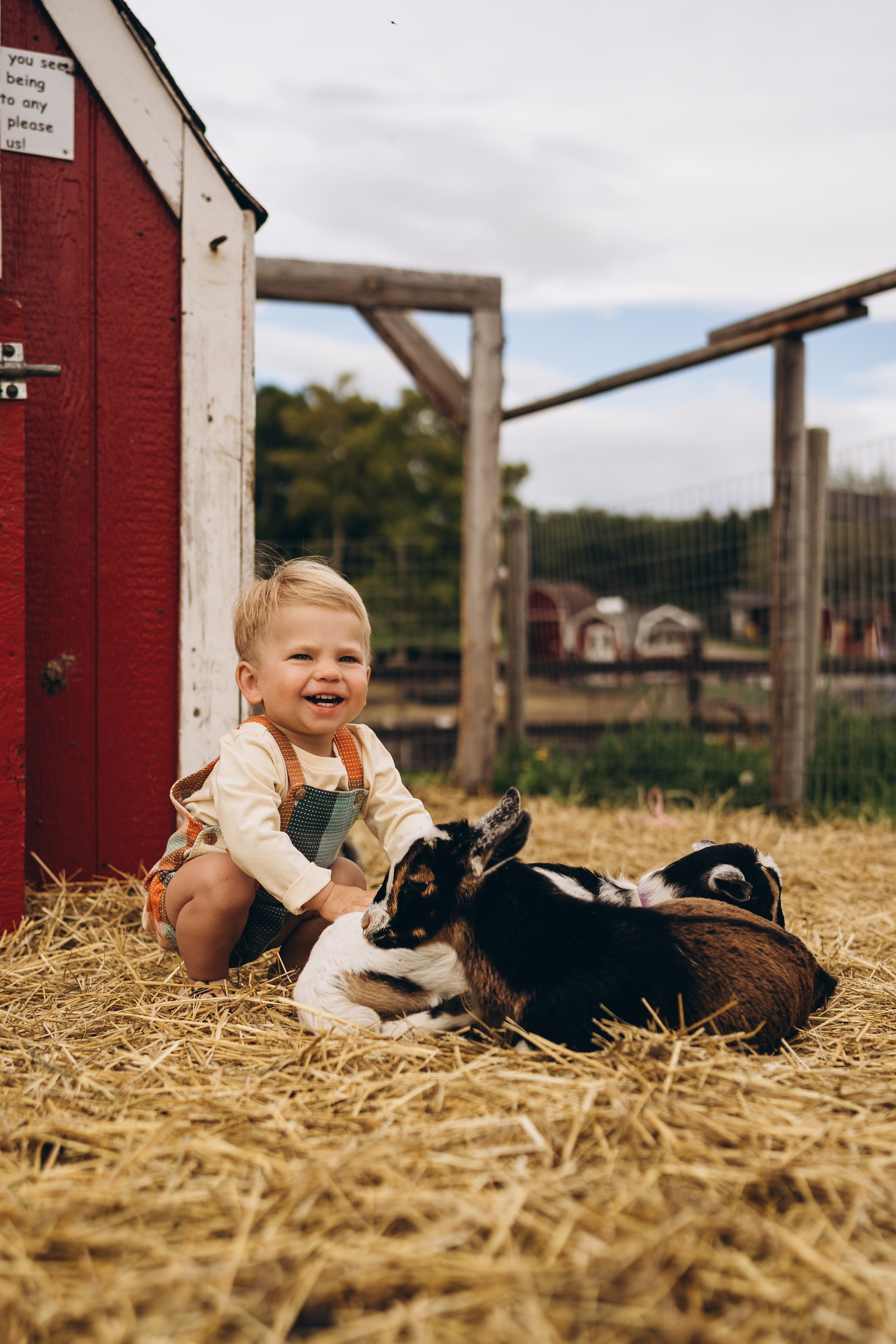 Lev. Calgary Wedding & Lifestyle Photographer — Yevhen Polishchuk