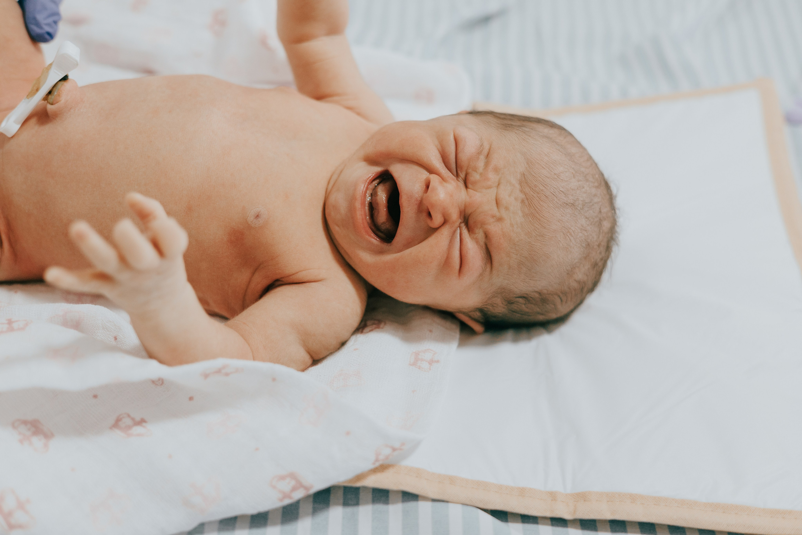 Nascimento Maria Cecília