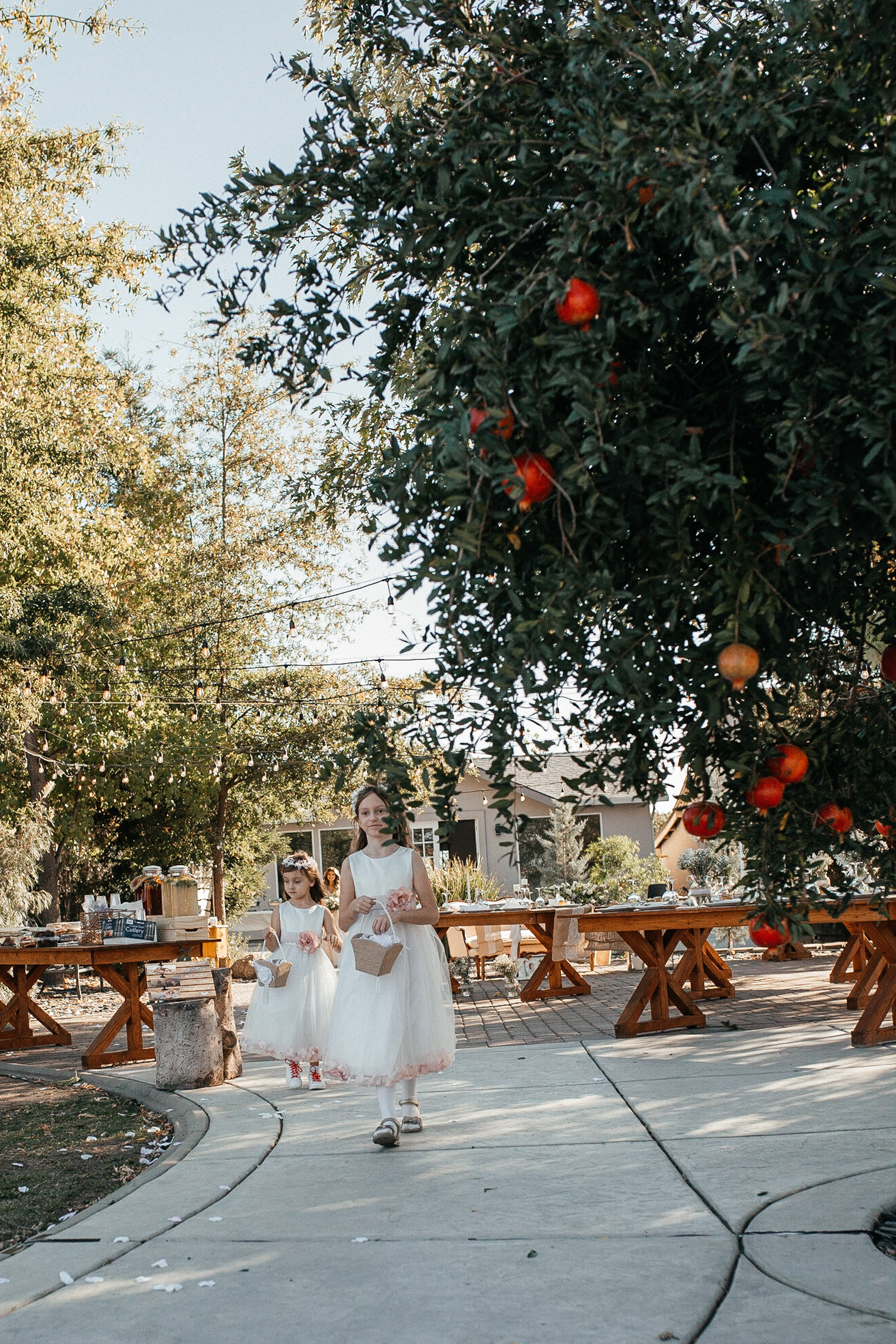 Zachary & Julie. Wedding Photography & Videography San Francisco, Sacramento