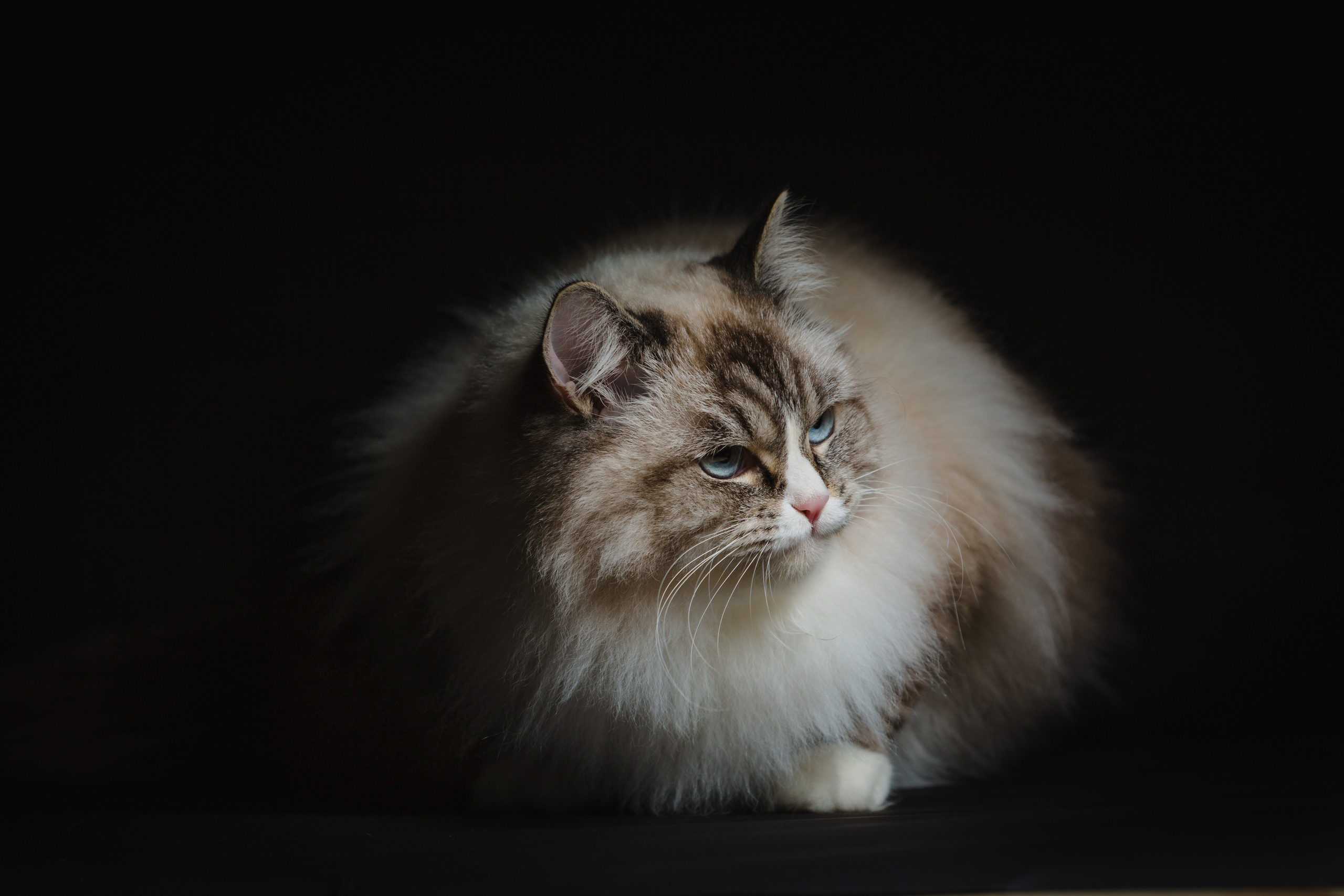 People. Photographer and videographer in Dubai Dmitry Gromov