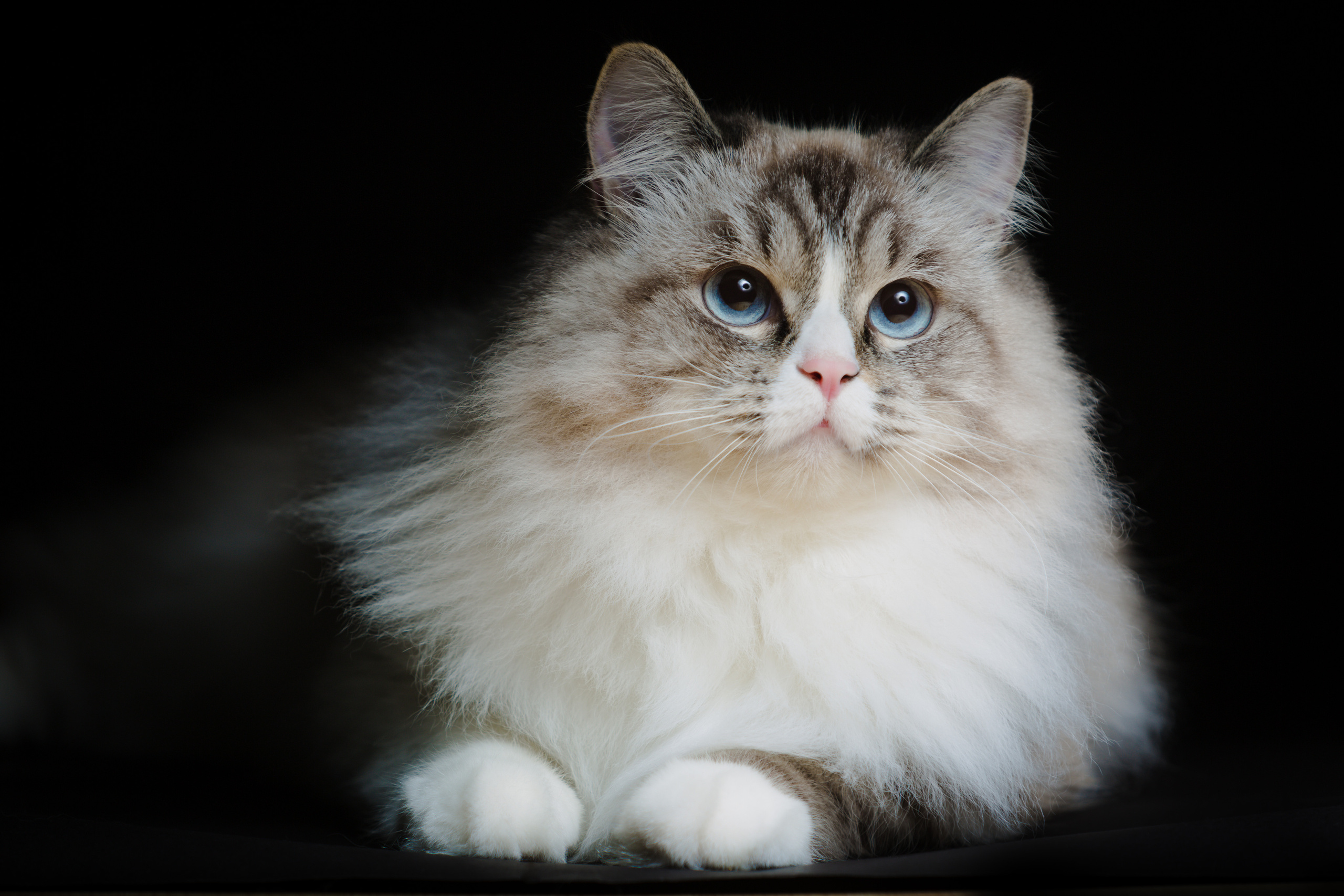 People. Photographer and videographer in Dubai Dmitry Gromov