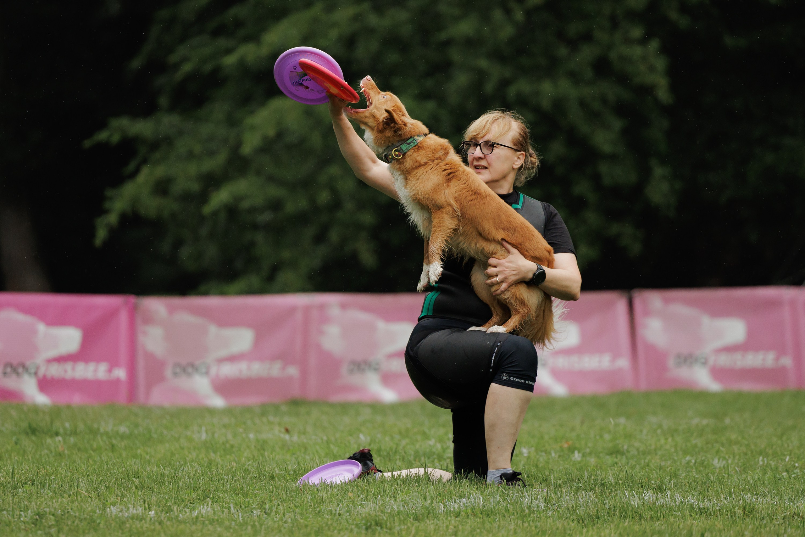 Latające psy, Wrocław'25. Kaja | fotograf psów we Wrocławiu