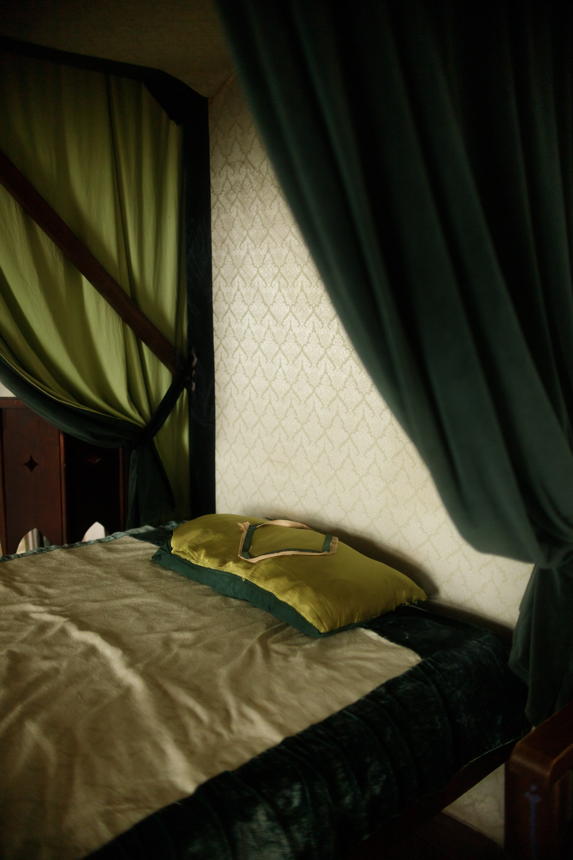 Zamek Grodziec. Kaja | fotograf psów we Wrocławiu