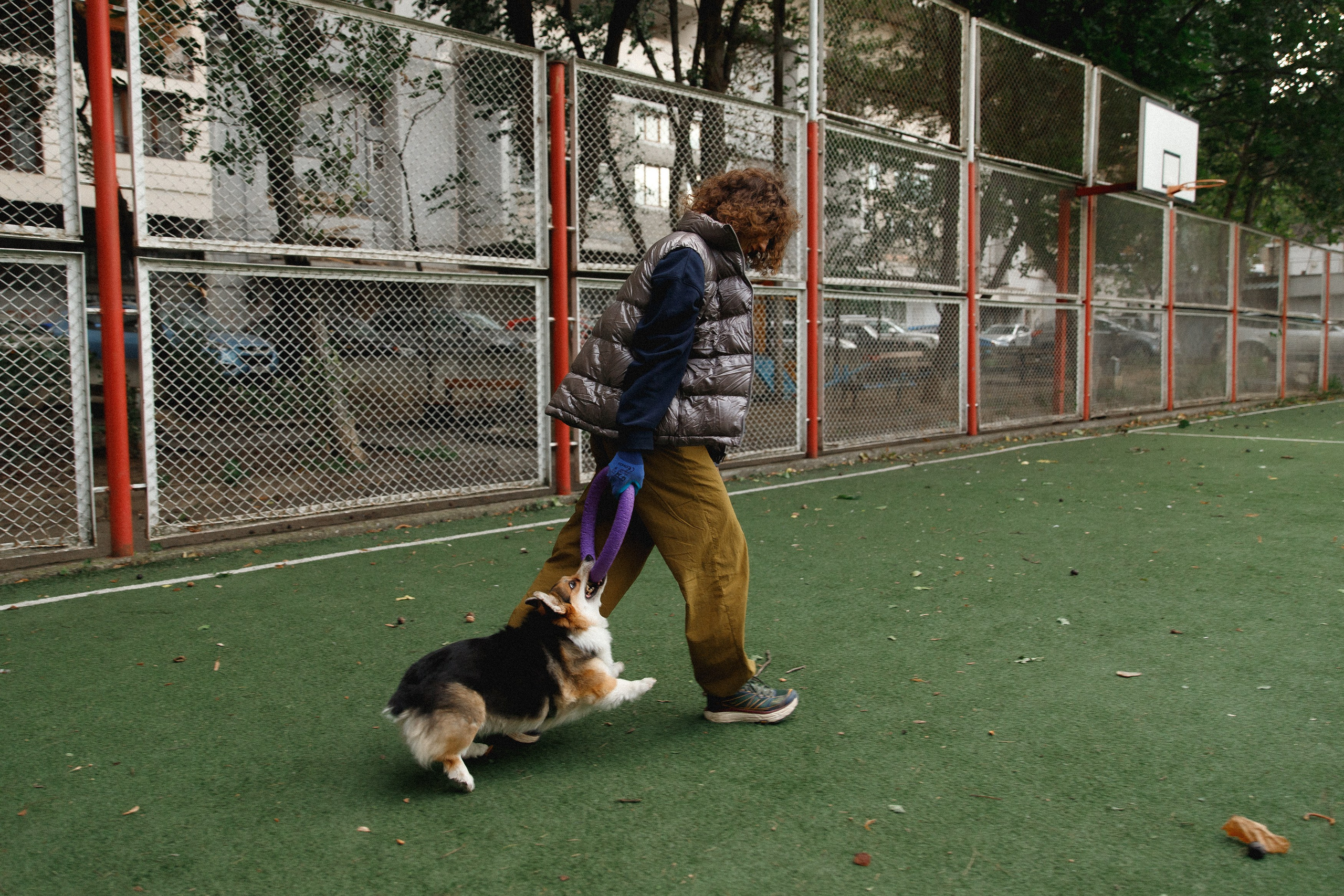 Sasha & Leonid. Kaja | fotograf psów we Wrocławiu