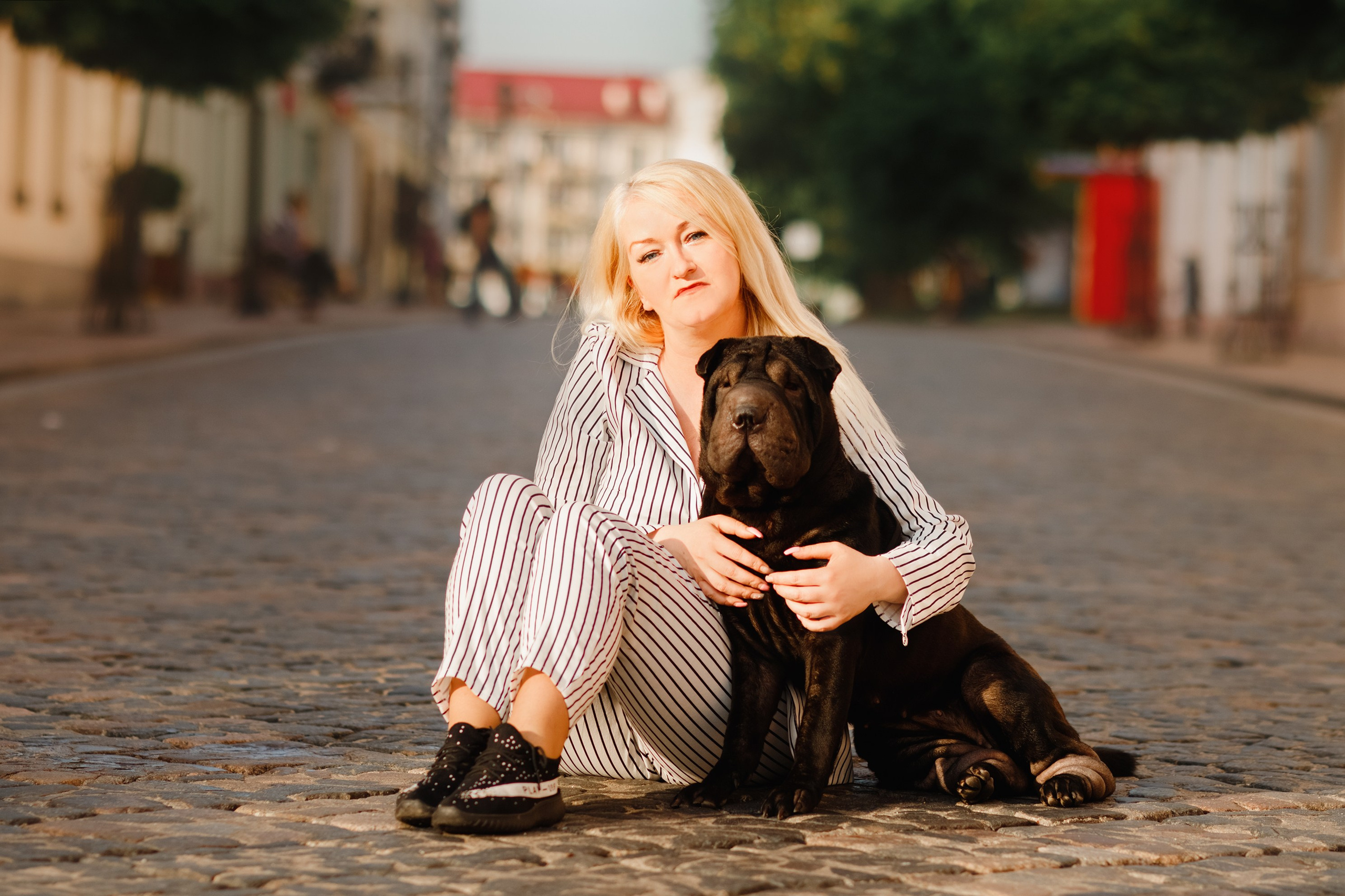 Shar pei in the city. Kaja | fotograf psów we Wrocławiu