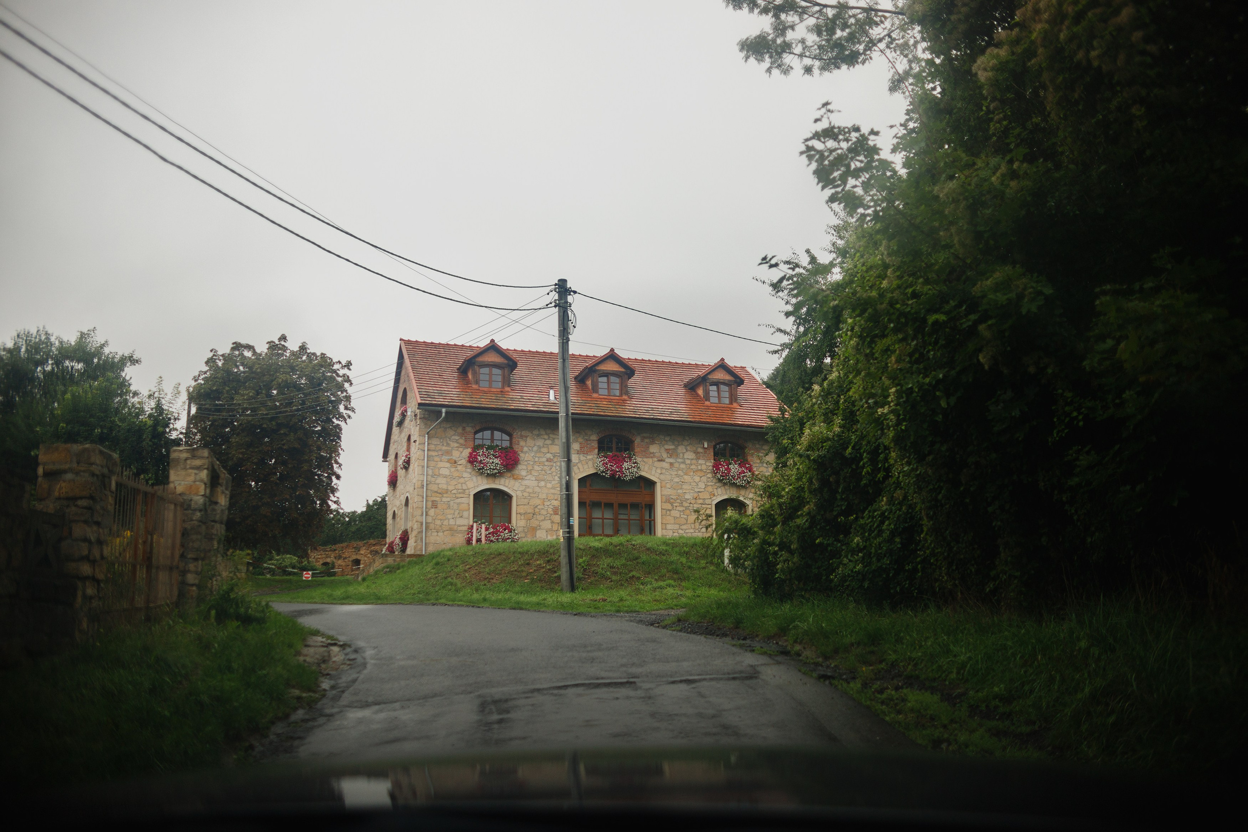 Zamek Grodziec. Kaja | fotograf psów we Wrocławiu