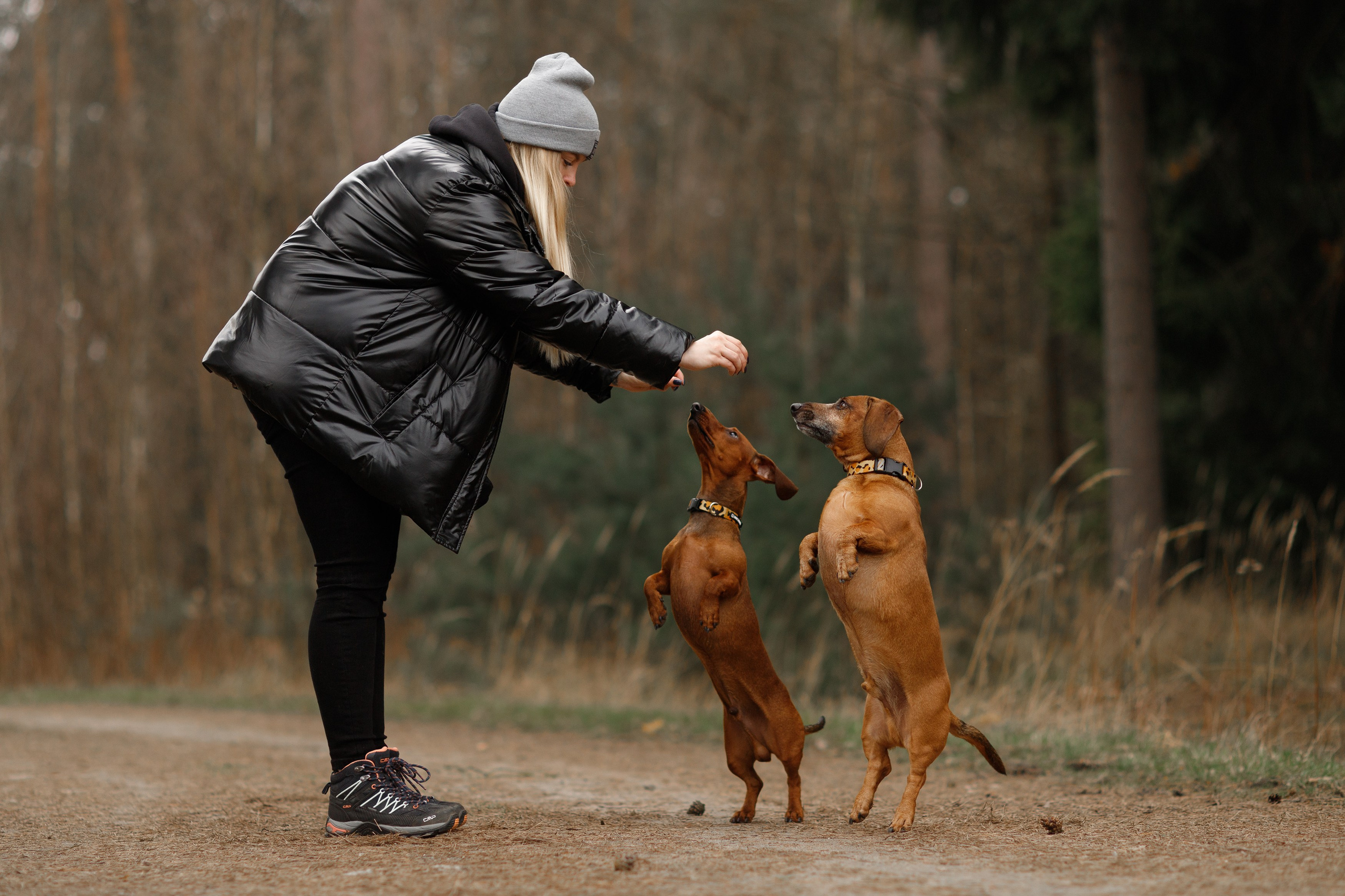 Ania, Franek & Vincent. Kaja | fotograf psów we Wrocławiu