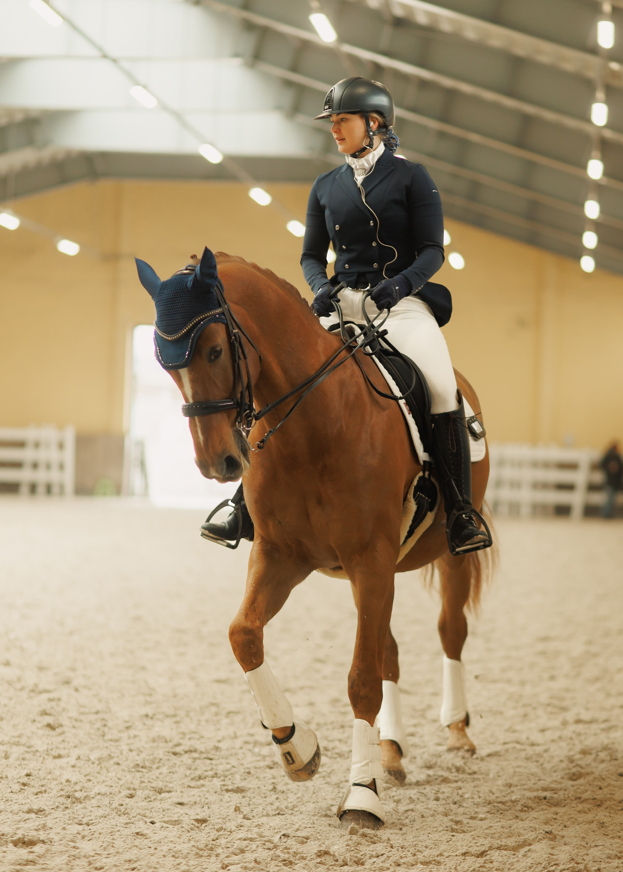 Fotografia koni Wrocław \ ujeżdżenie, Partynice. Kaja | fotograf we Wrocławiu | ludzie i psy