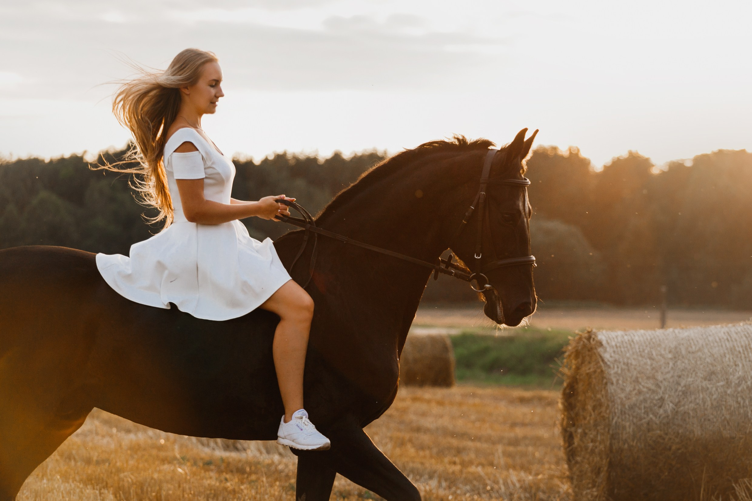 One sunset. Kaja | fotograf psów we Wrocławiu