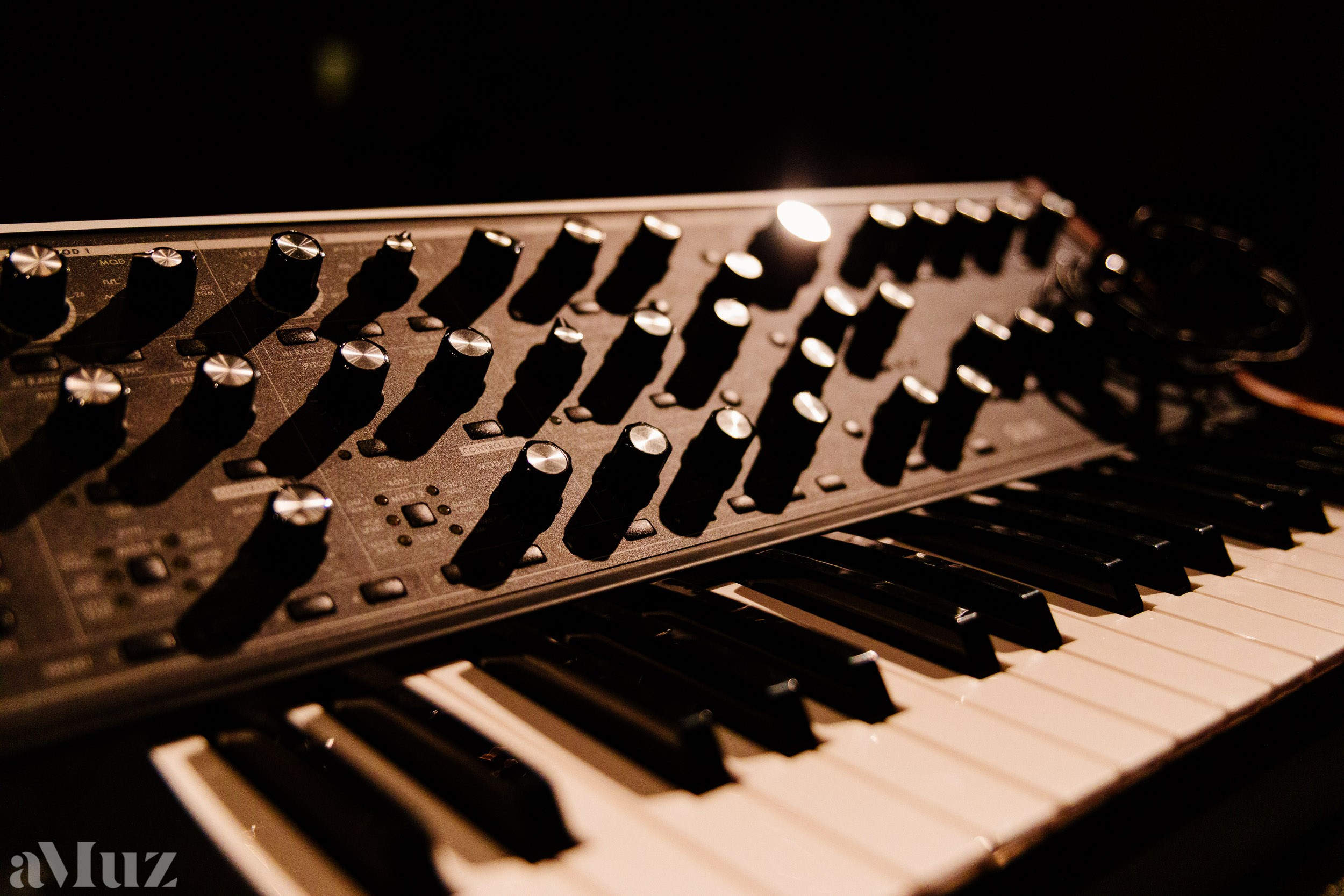 Jazz Zaśpiewam. Fotograf Ślubny Warszawa - Sesje Biznesowe Rodzinne Eventy