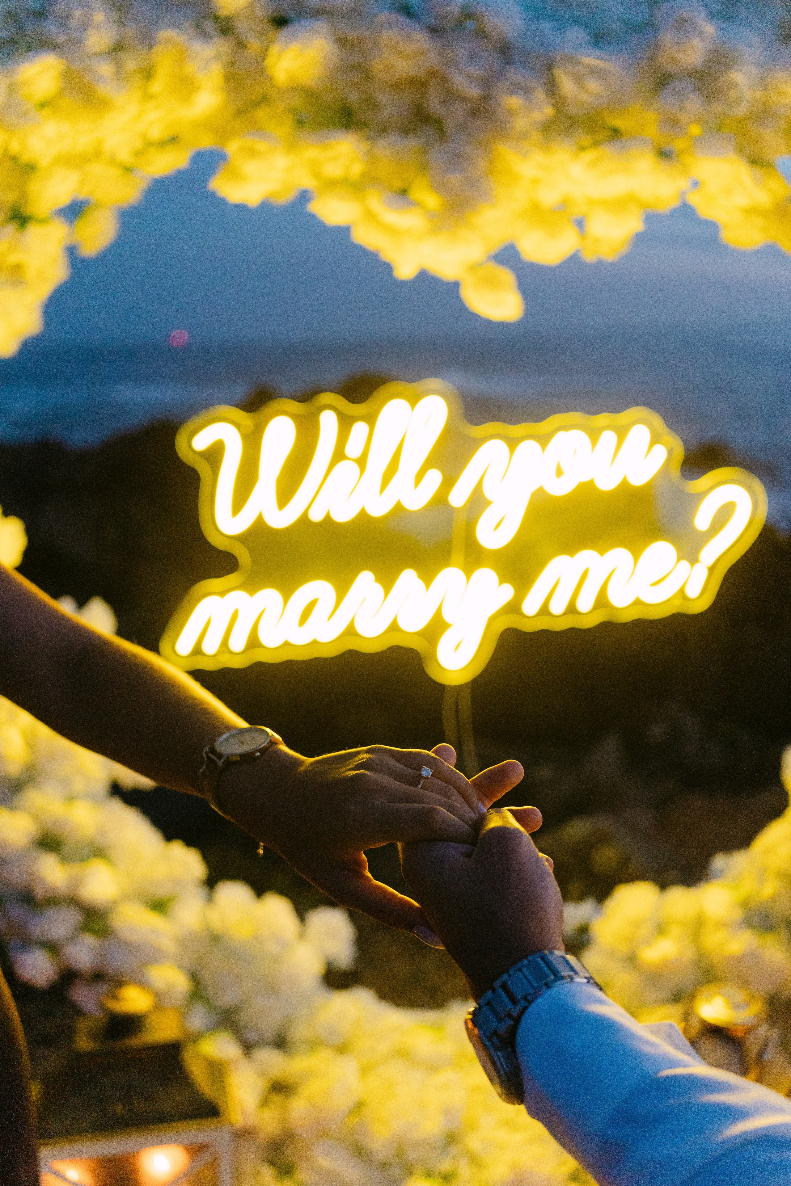 Wedding Proposal at the Beach. Davi Valente