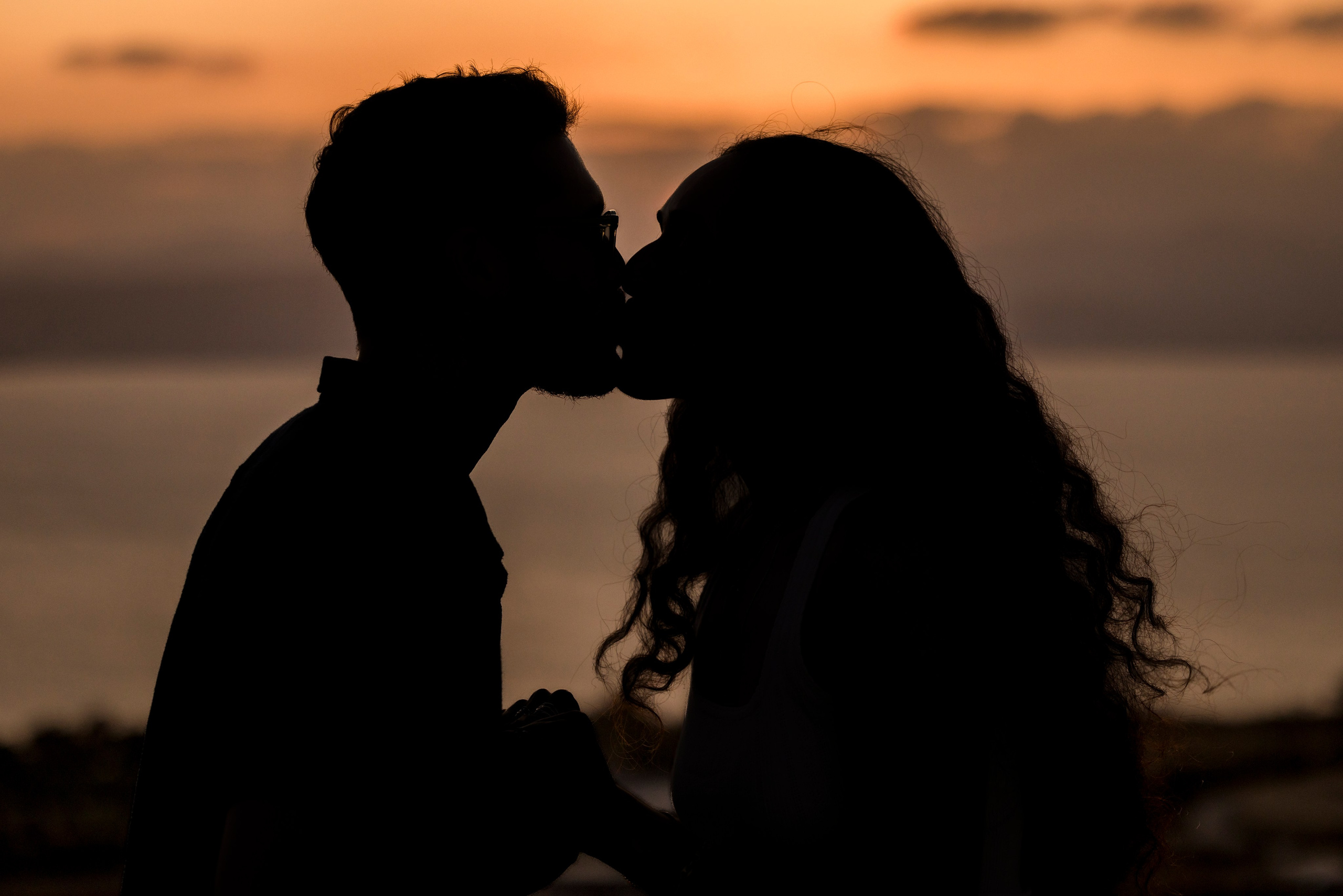 Lee & Segev Proposal