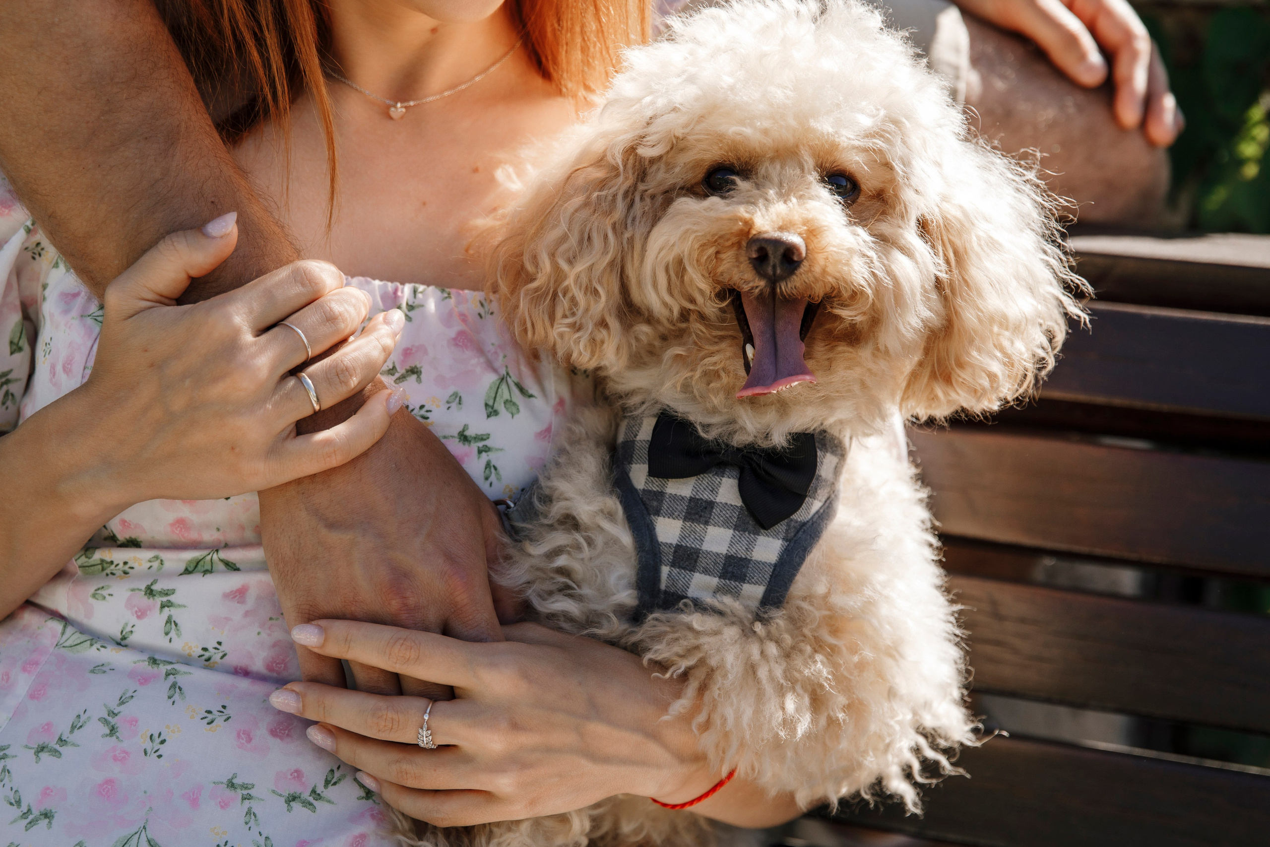 Влюбленные. Фотограф в Будапеште Рита Горбачева