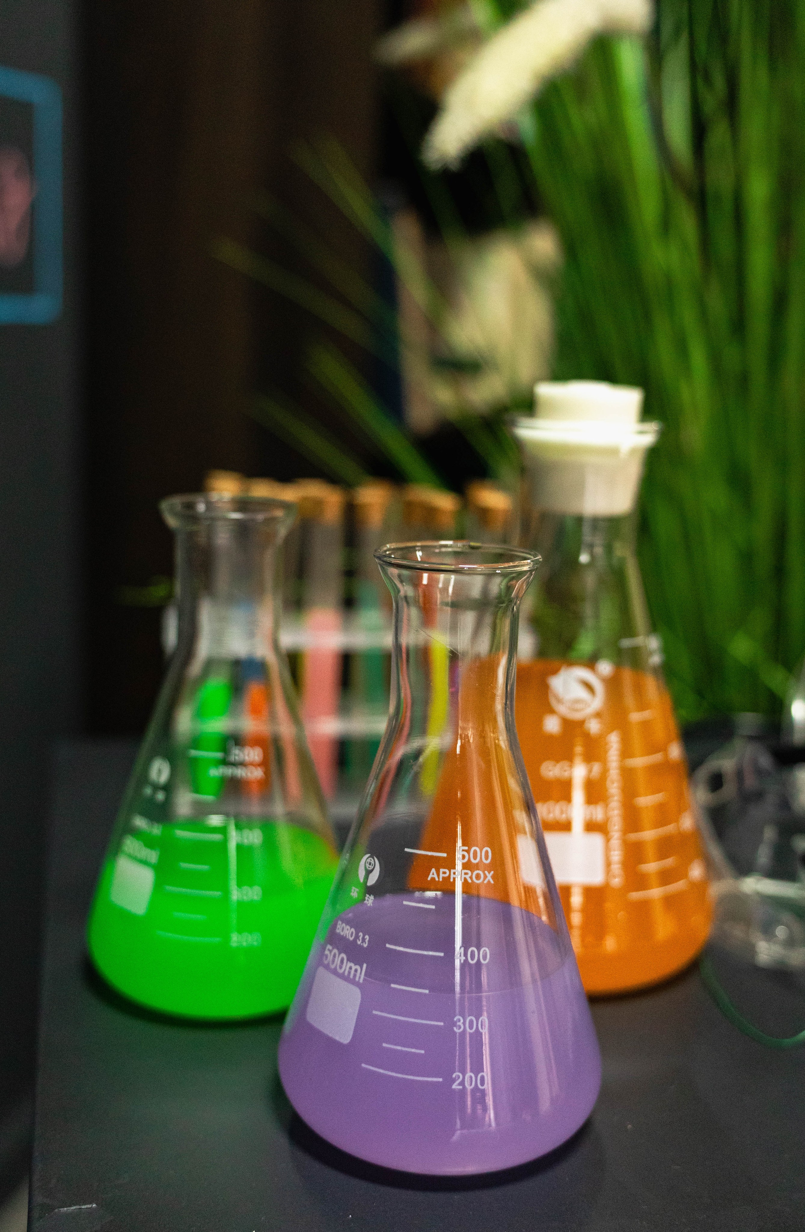 Фотосессия школьников выпускников. Семейный фотограф в Кишиневе, Молдова Врабий Ольга