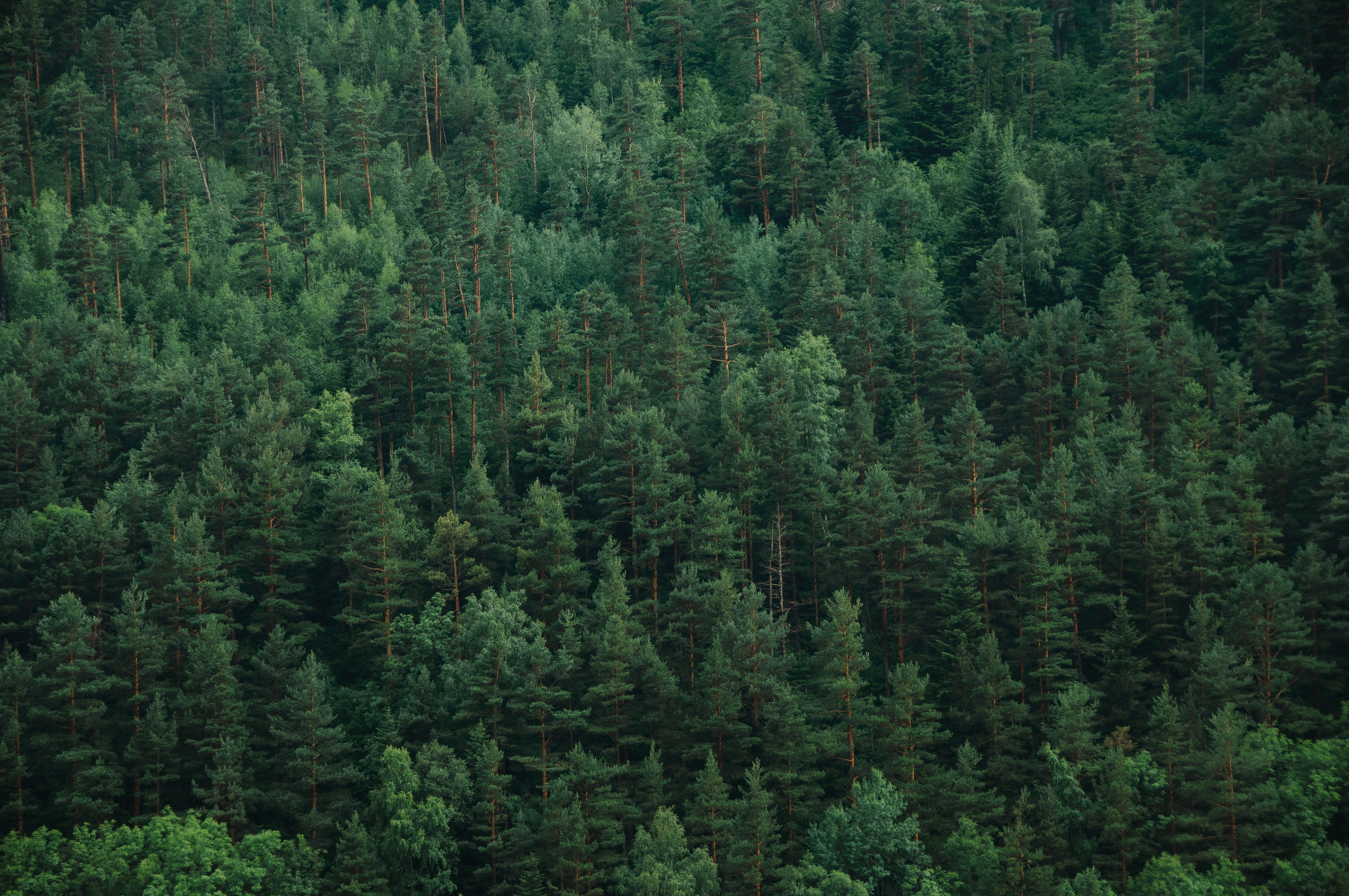 Galeria. Creador de contenido visual en Barcelona | Dima Kit