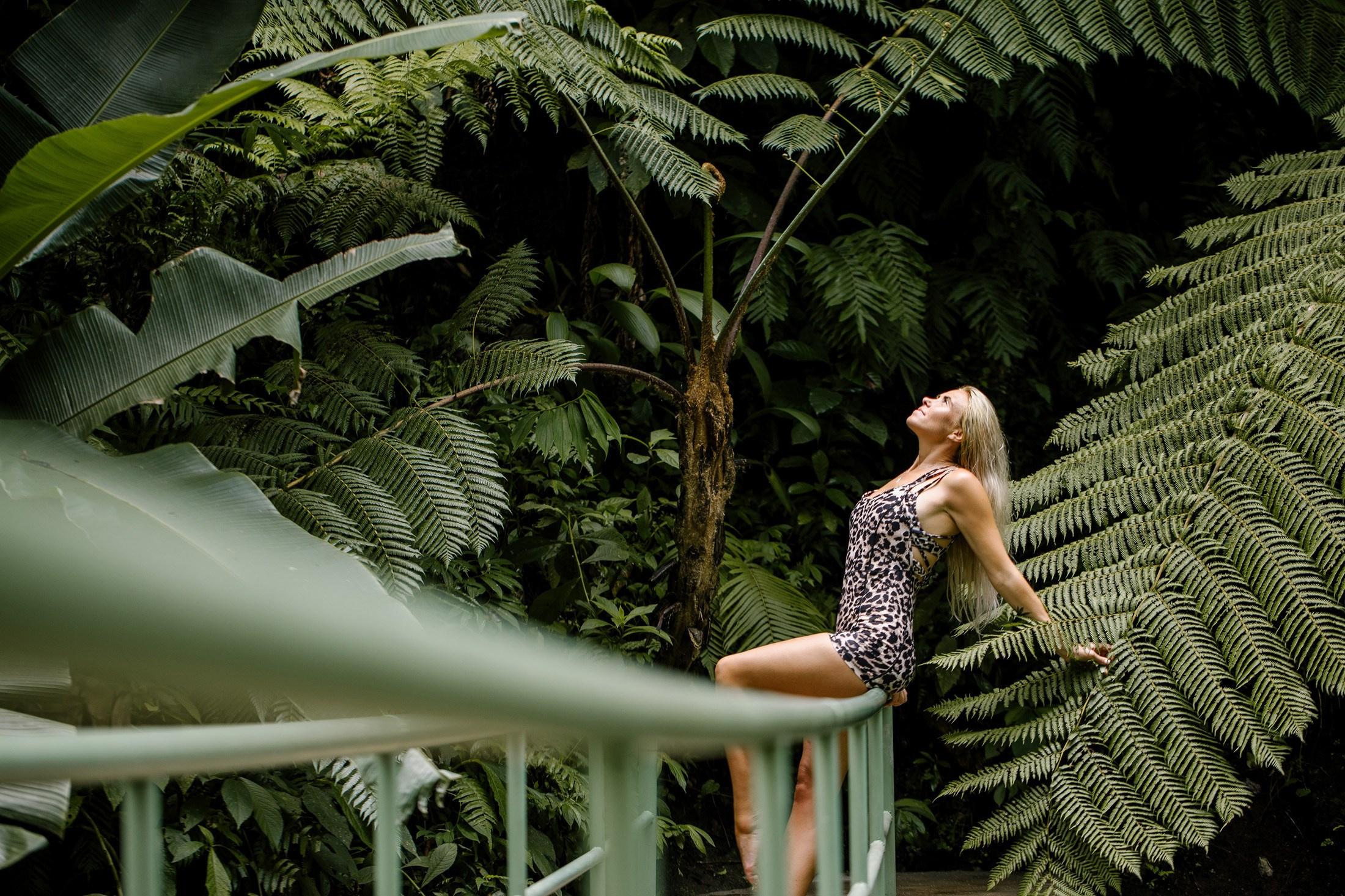 Secret Waterfall. Getitfeel — Aesthetic Photography and Videography