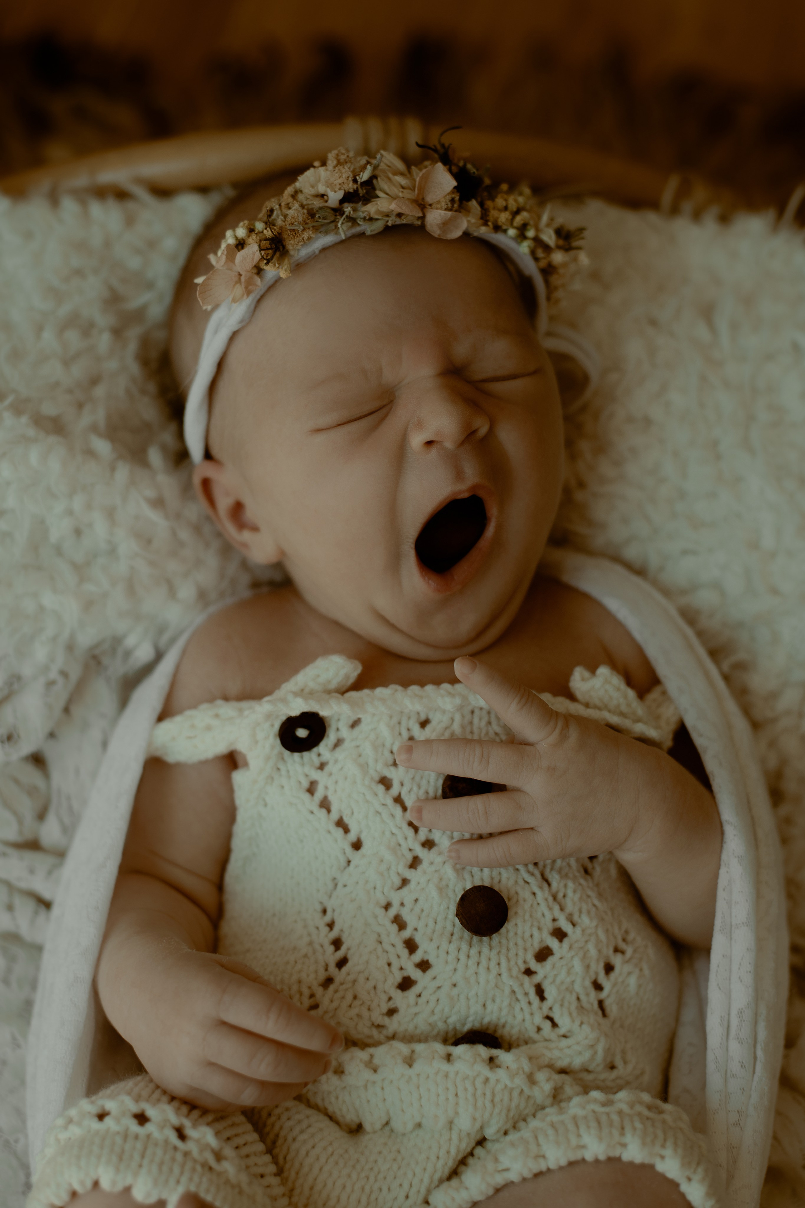 Newborn. Wedding & Family photographer Jelena Anđelić