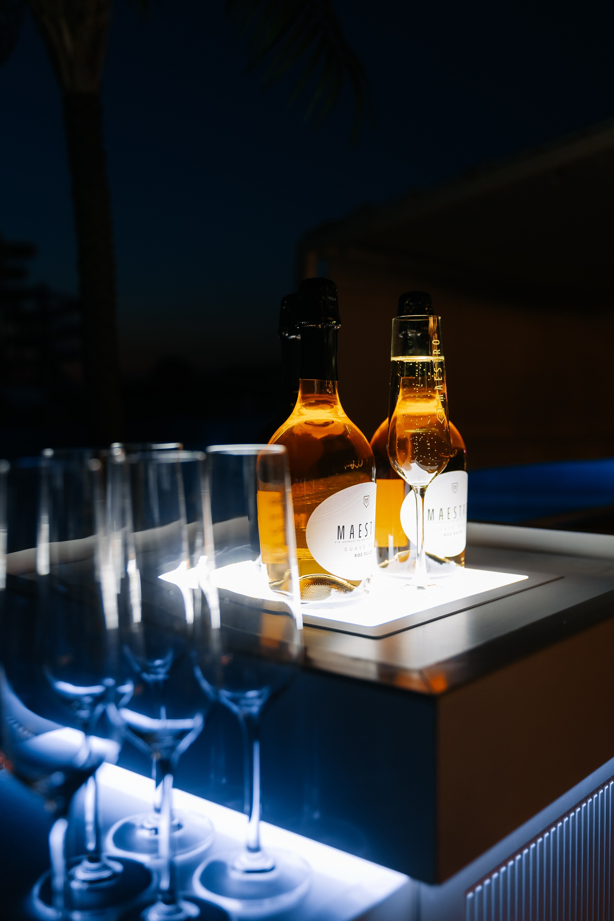 TOP SEXY — VIP MAGAZIN. Fulga Photographer