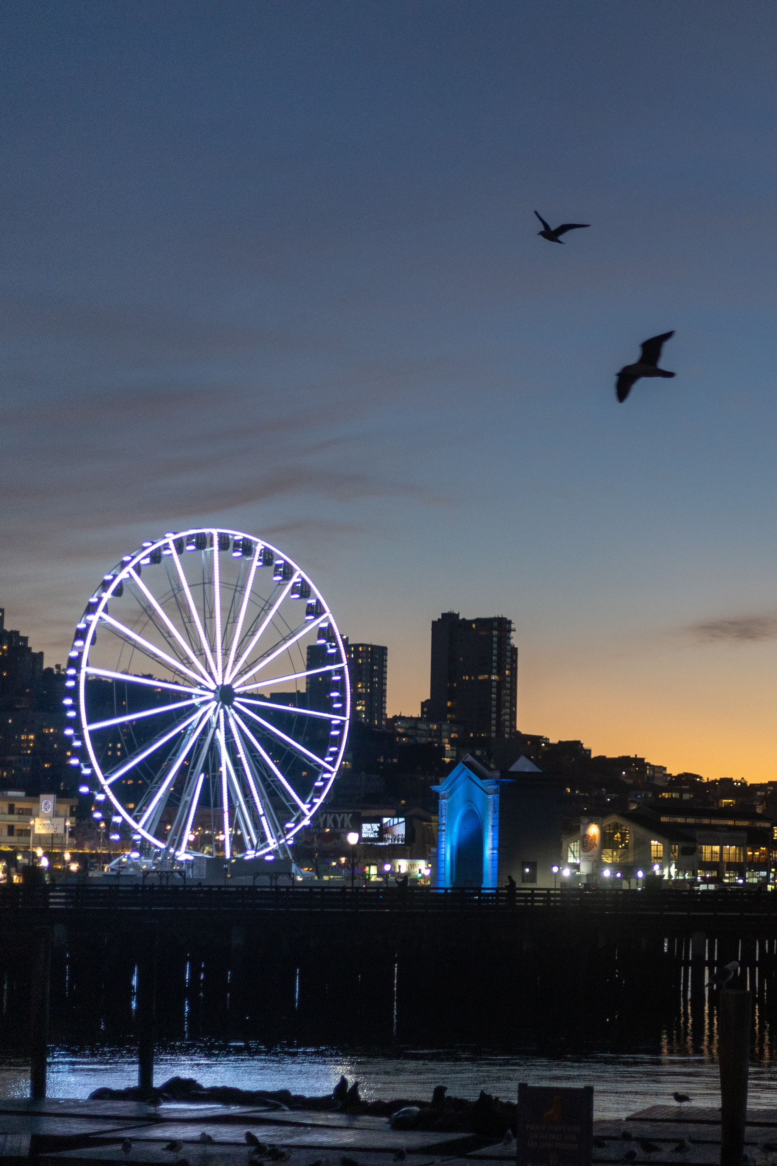 San Francisco. Aleks.photo | Book a photoshoot